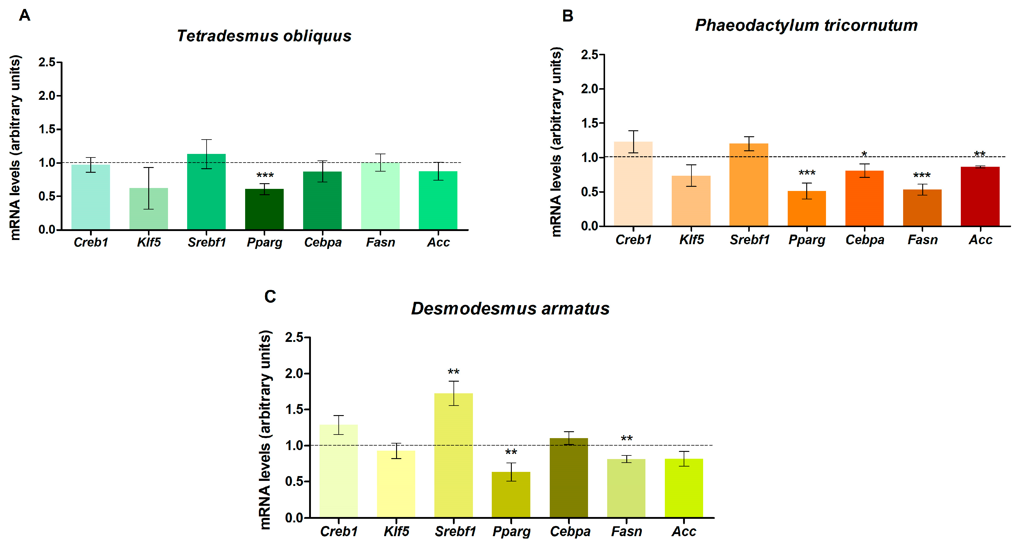 Ijms 26 10314 g005 Ijms 26 10314 g005