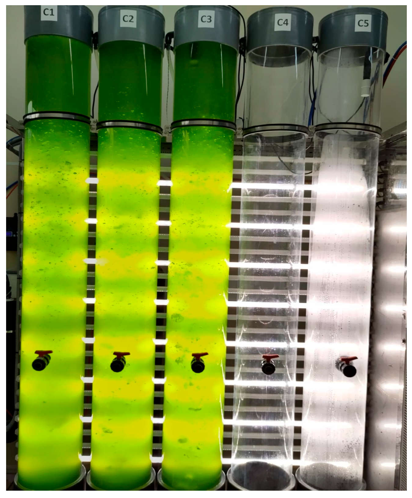 Ijms 26 10314 g006 Ijms 26 10314 g006