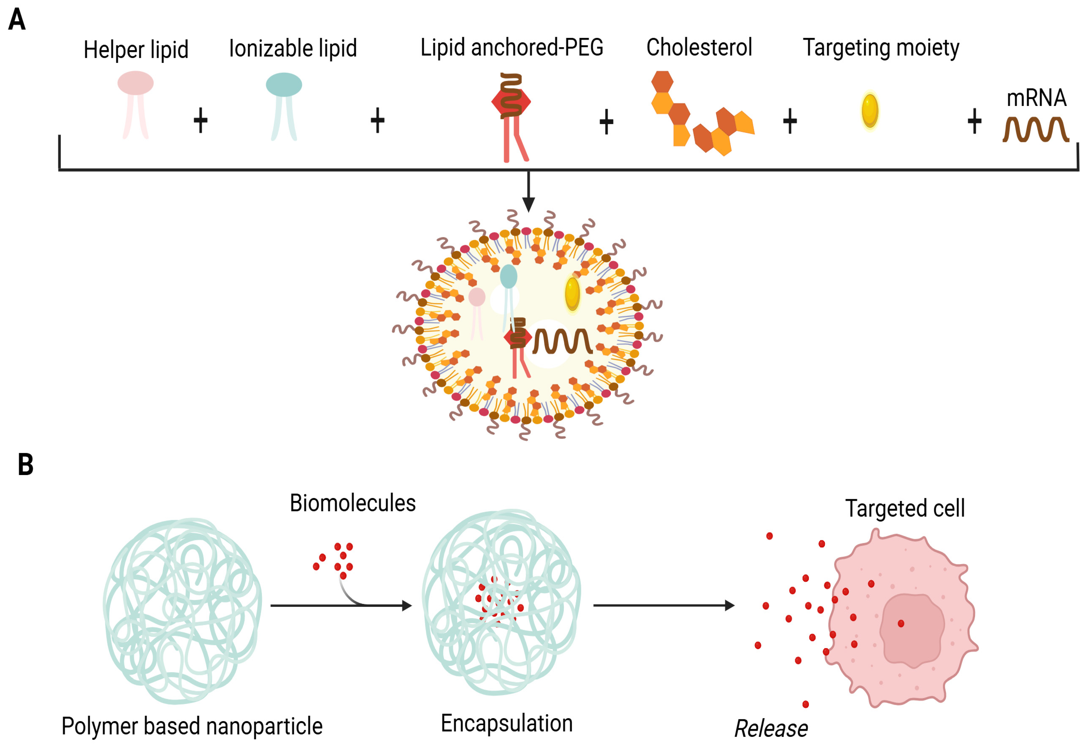 Ijms 26 10316 g001 Ijms 26 10316 g001