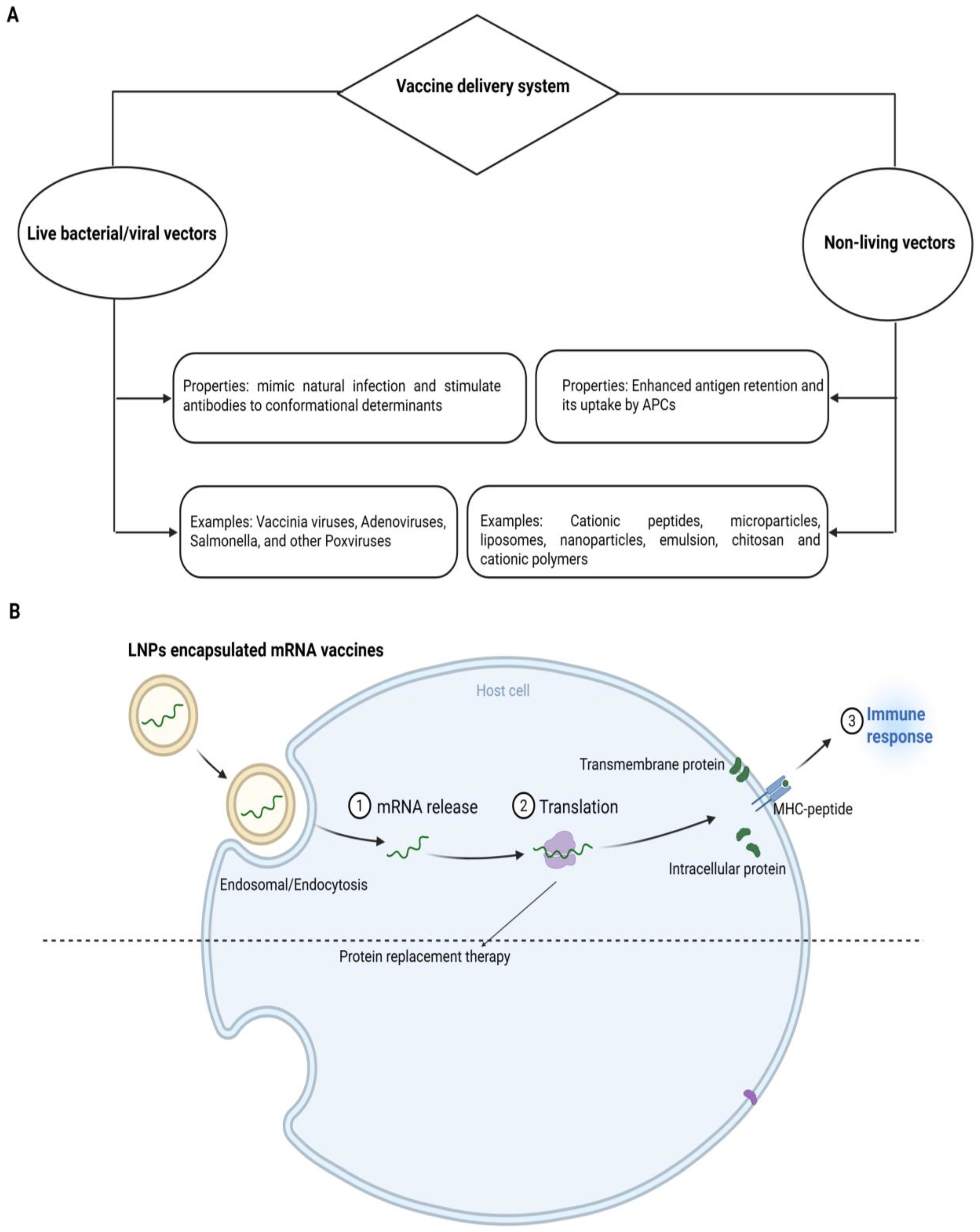 Ijms 26 10316 g002 Ijms 26 10316 g002