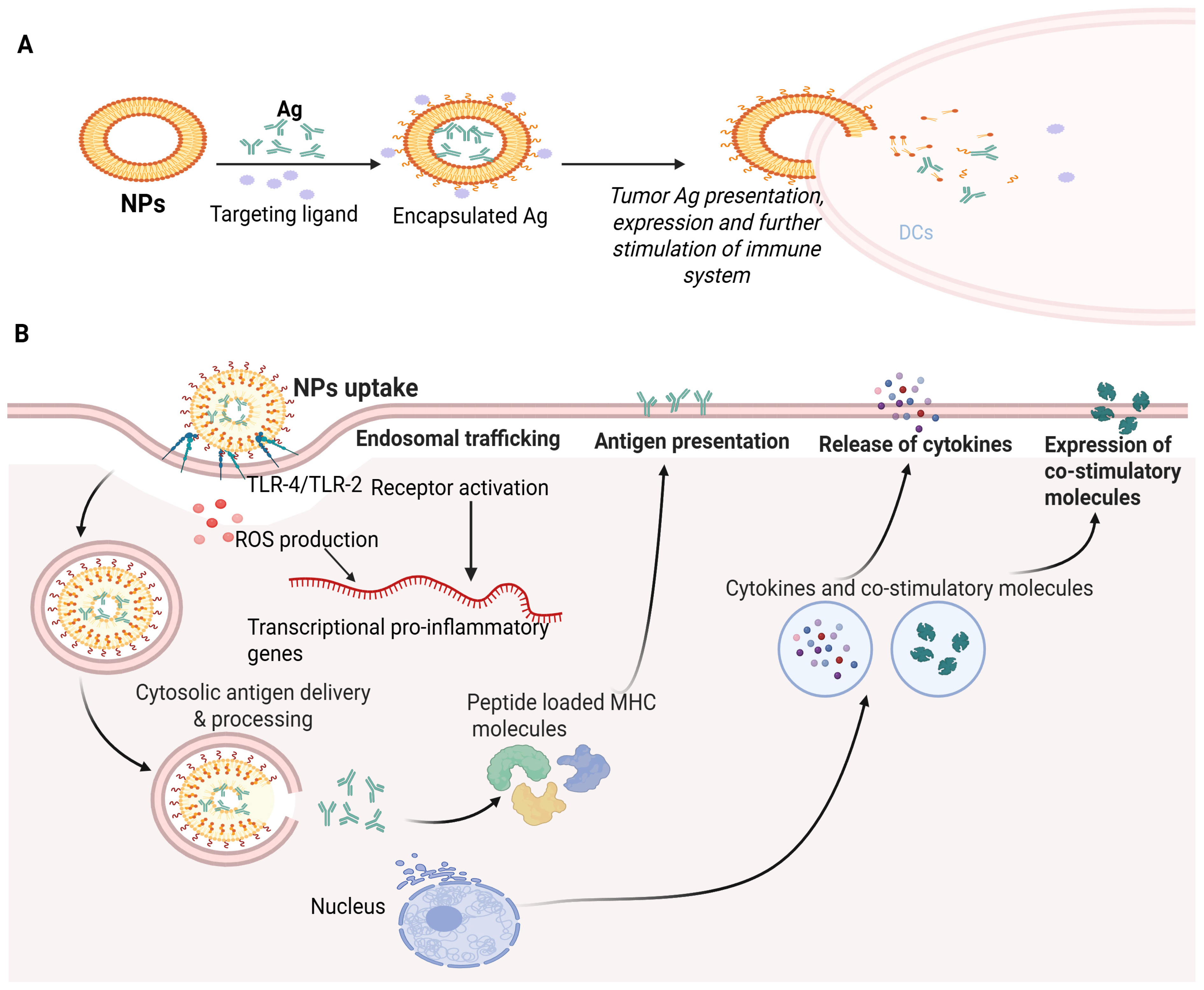 Ijms 26 10316 g003 Ijms 26 10316 g003