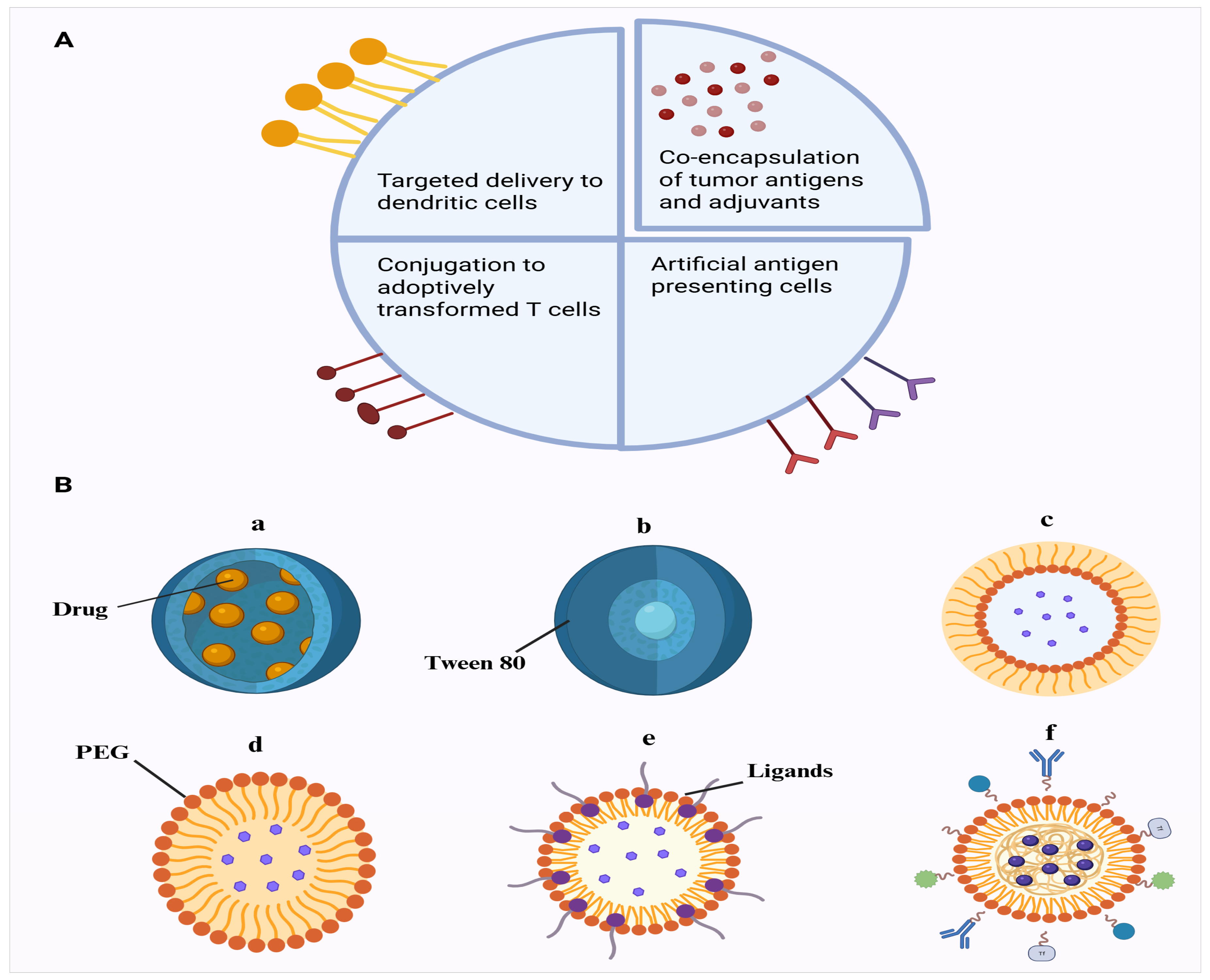 Ijms 26 10316 g004 Ijms 26 10316 g004