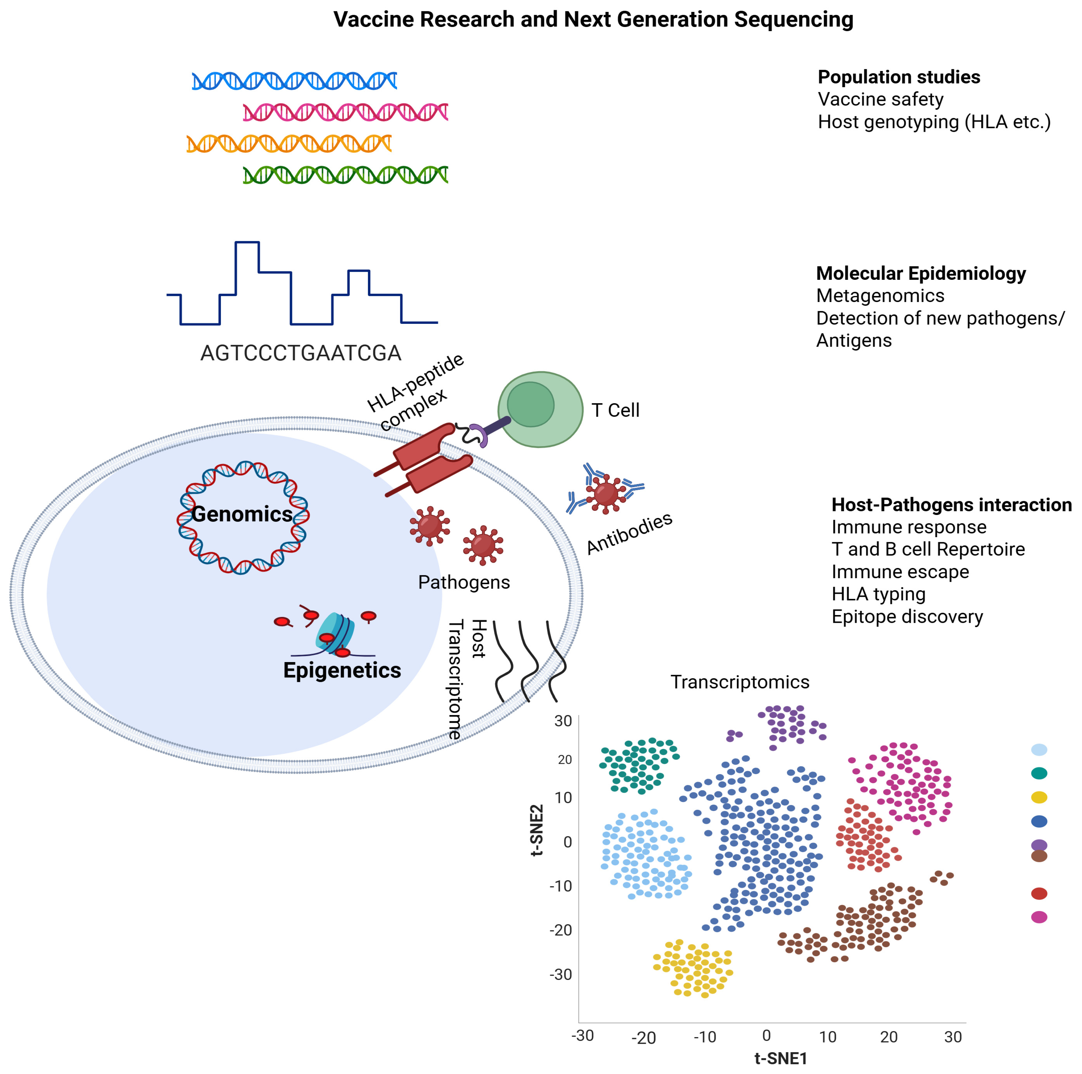 Ijms 26 10316 g006 Ijms 26 10316 g006