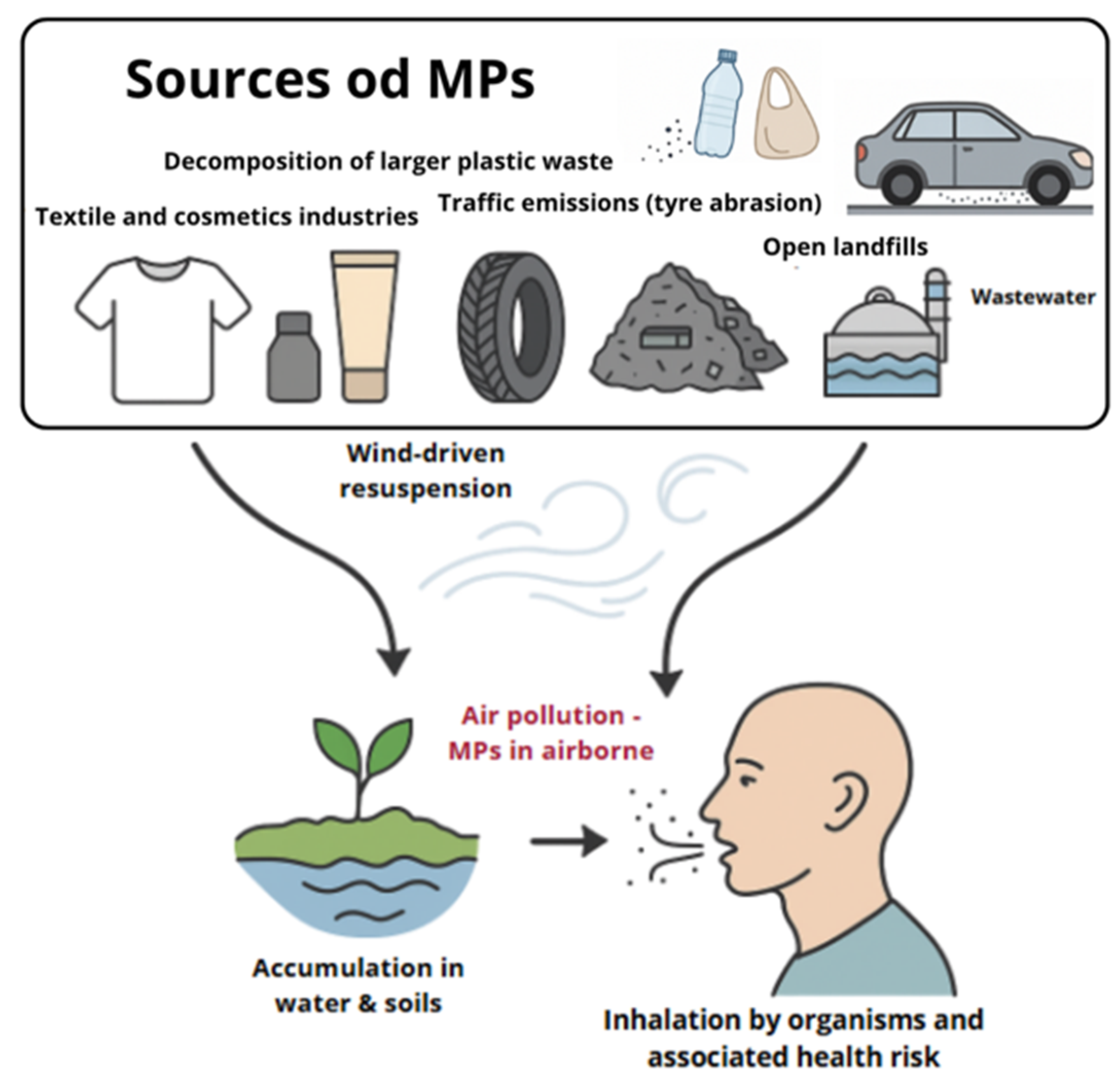 Ijms 26 10332 g001 Ijms 26 10332 g001