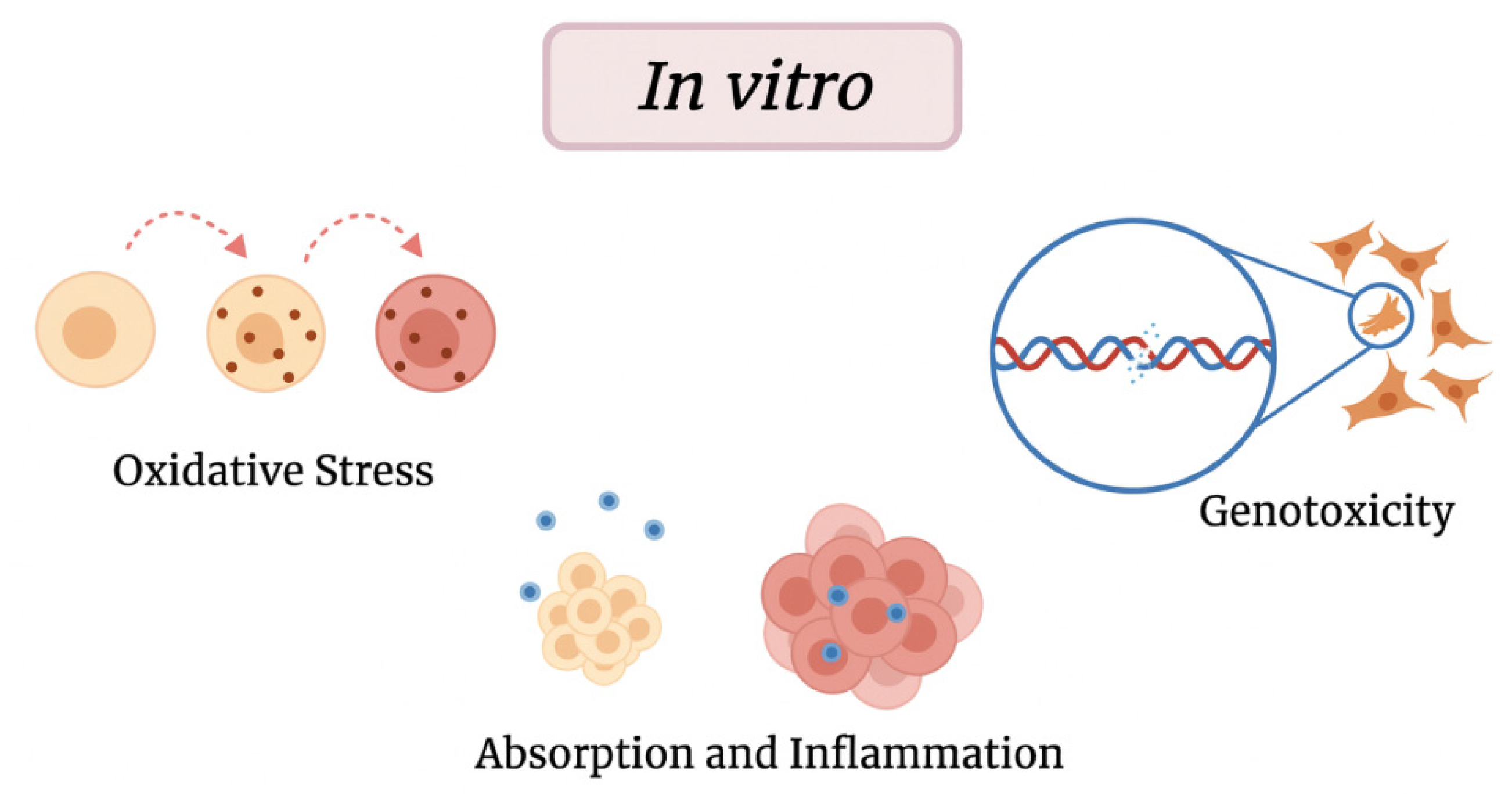 Ijms 26 10332 g003 Ijms 26 10332 g003