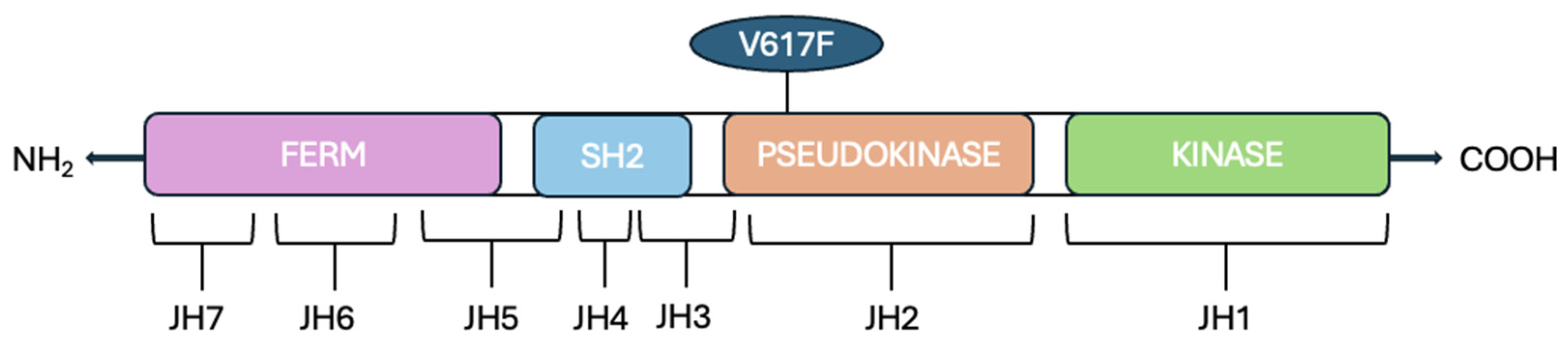 Ijms 26 10337 g001 Ijms 26 10337 g001