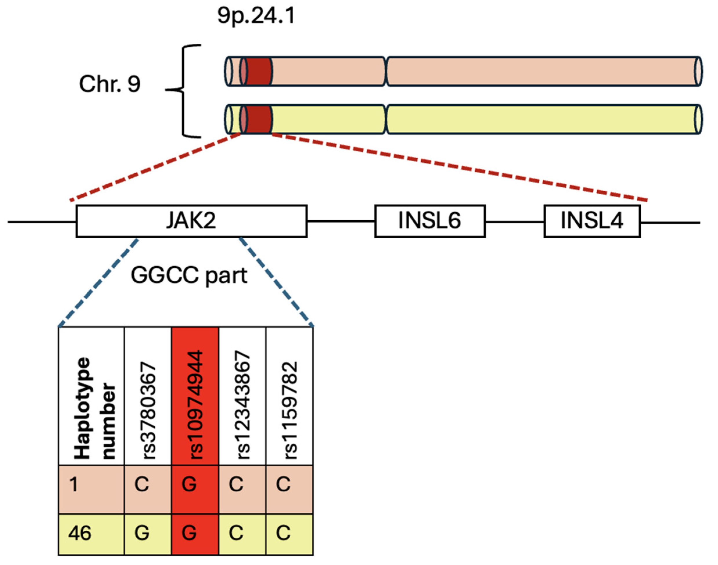 Ijms 26 10337 g003 Ijms 26 10337 g003