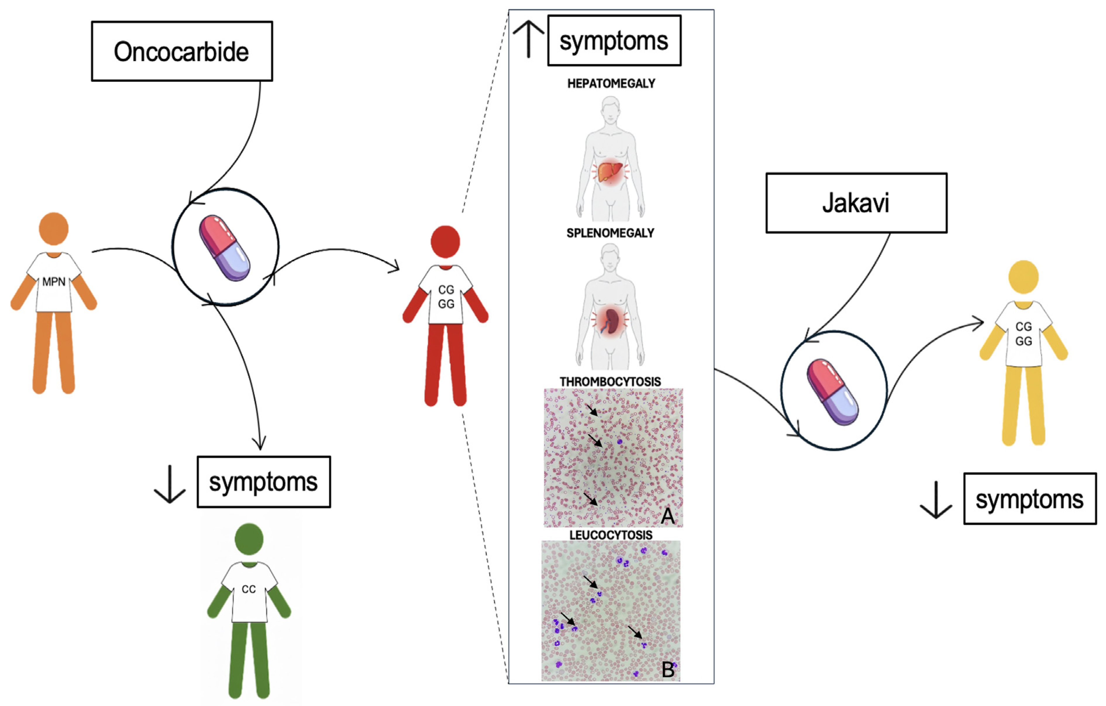 Ijms 26 10337 g004 Ijms 26 10337 g004