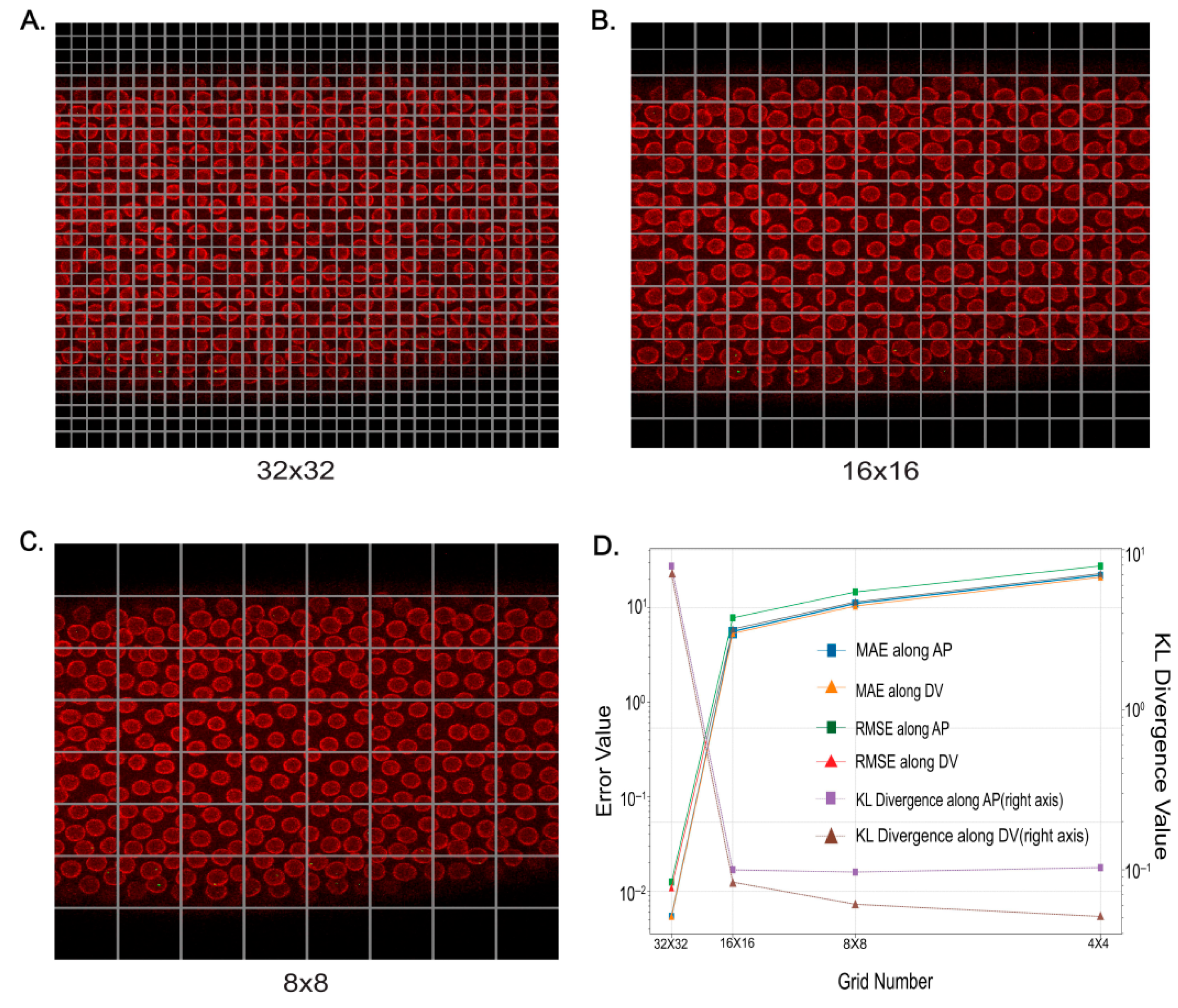 Ijms 26 10338 g002 Ijms 26 10338 g002