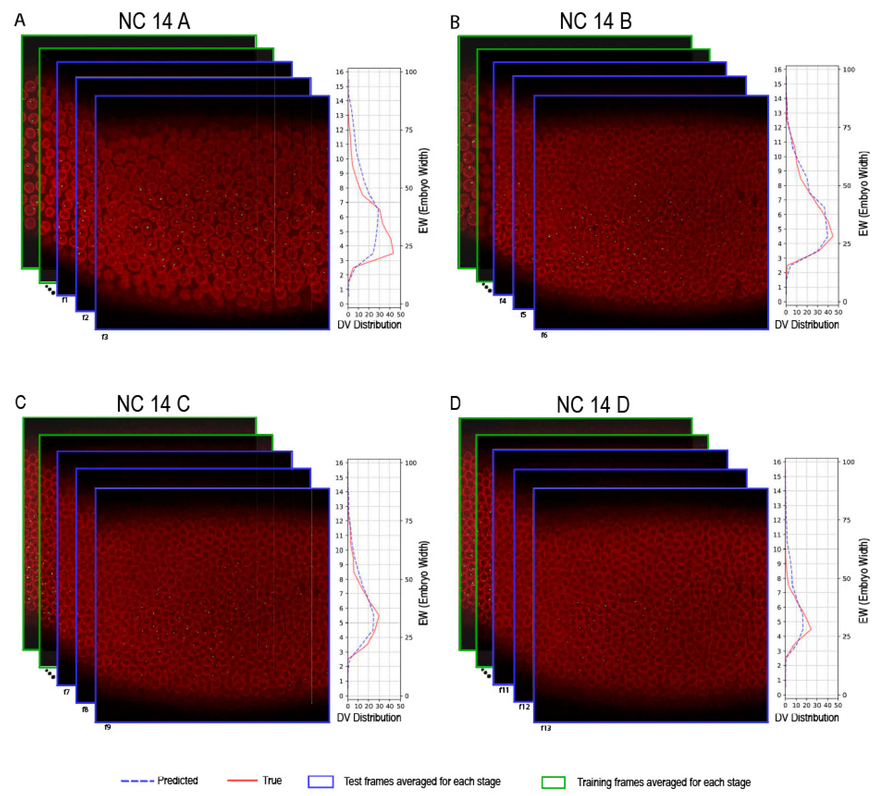 Ijms 26 10338 g003 Ijms 26 10338 g003