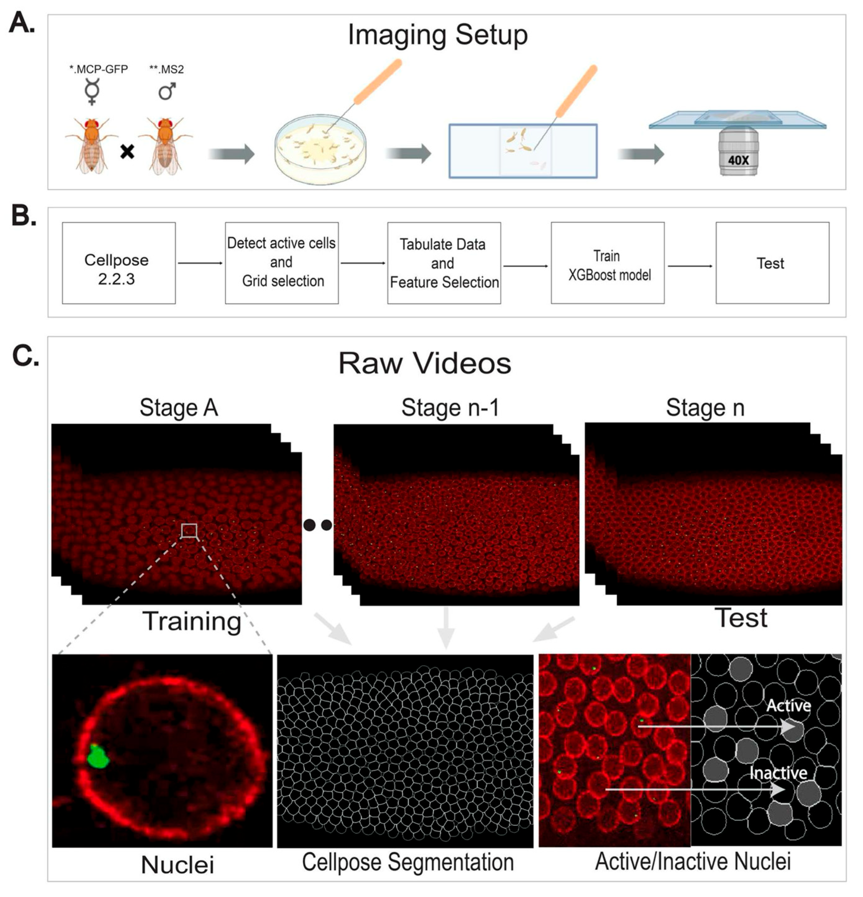 Ijms 26 10338 g005 Ijms 26 10338 g005
