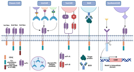 Regulatory T Cell-Based Adoptive Cell Therapy in Autoimmunity