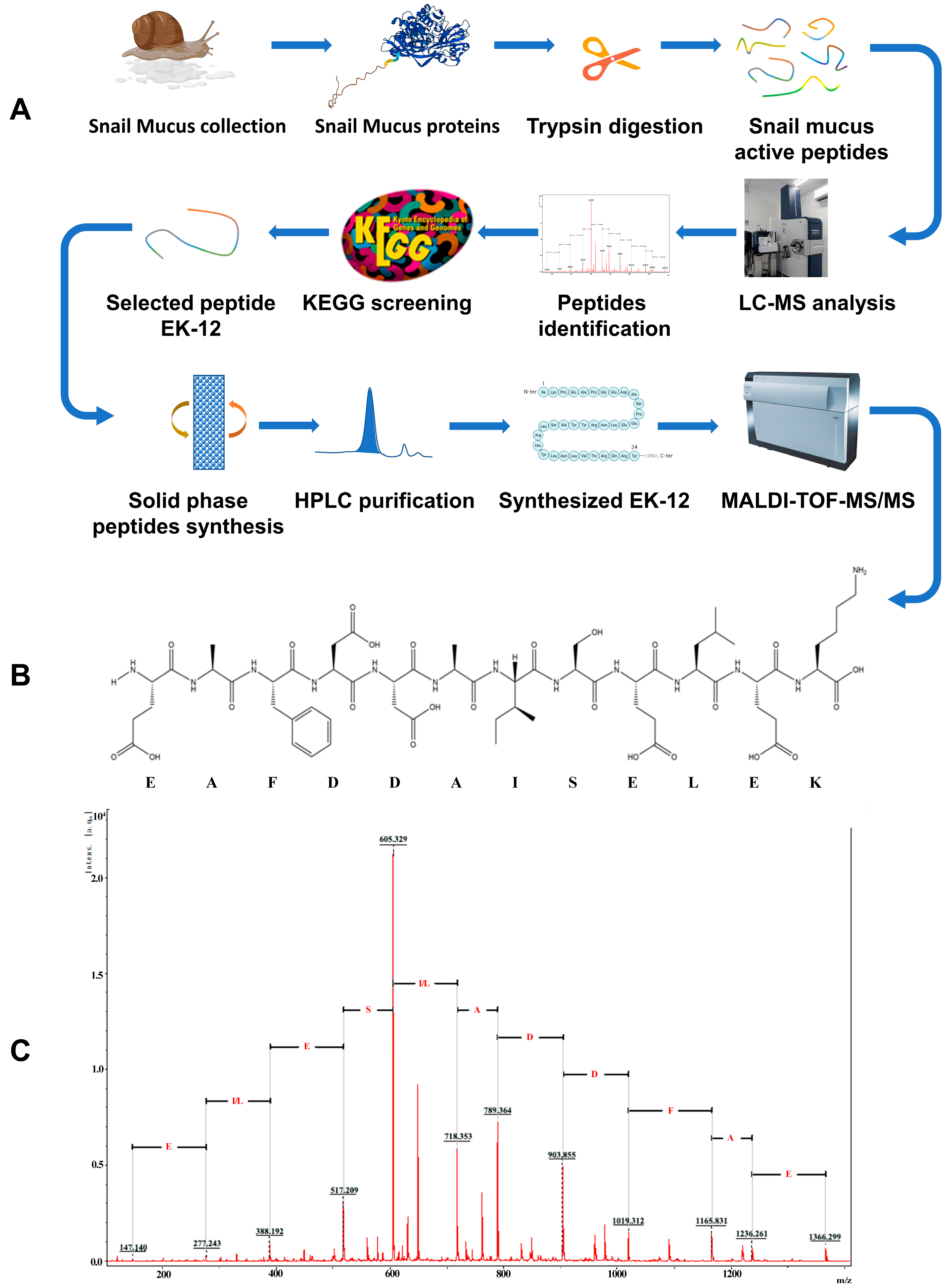 Ijms 26 10341 g001 Ijms 26 10341 g001