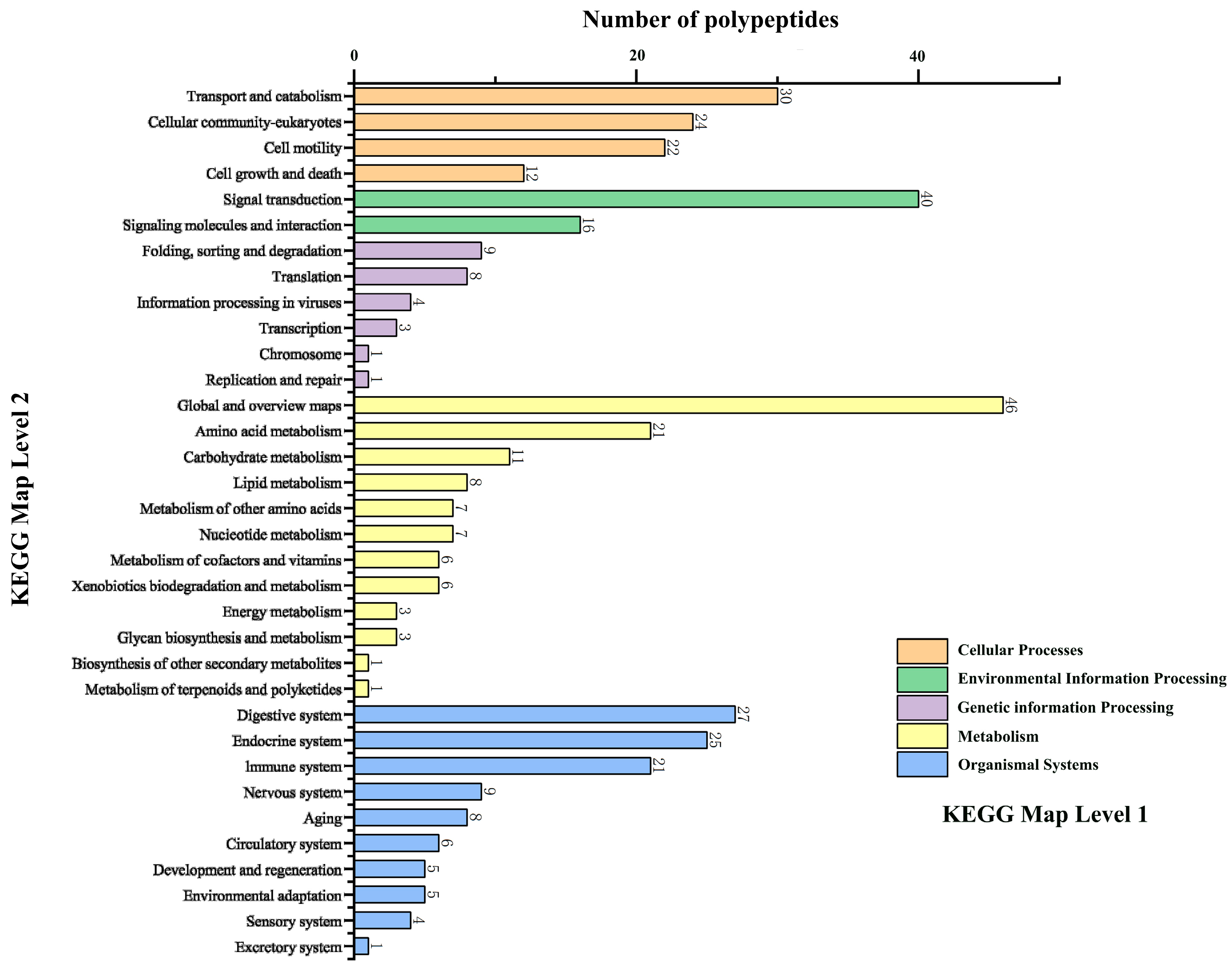 Ijms 26 10341 g002 Ijms 26 10341 g002