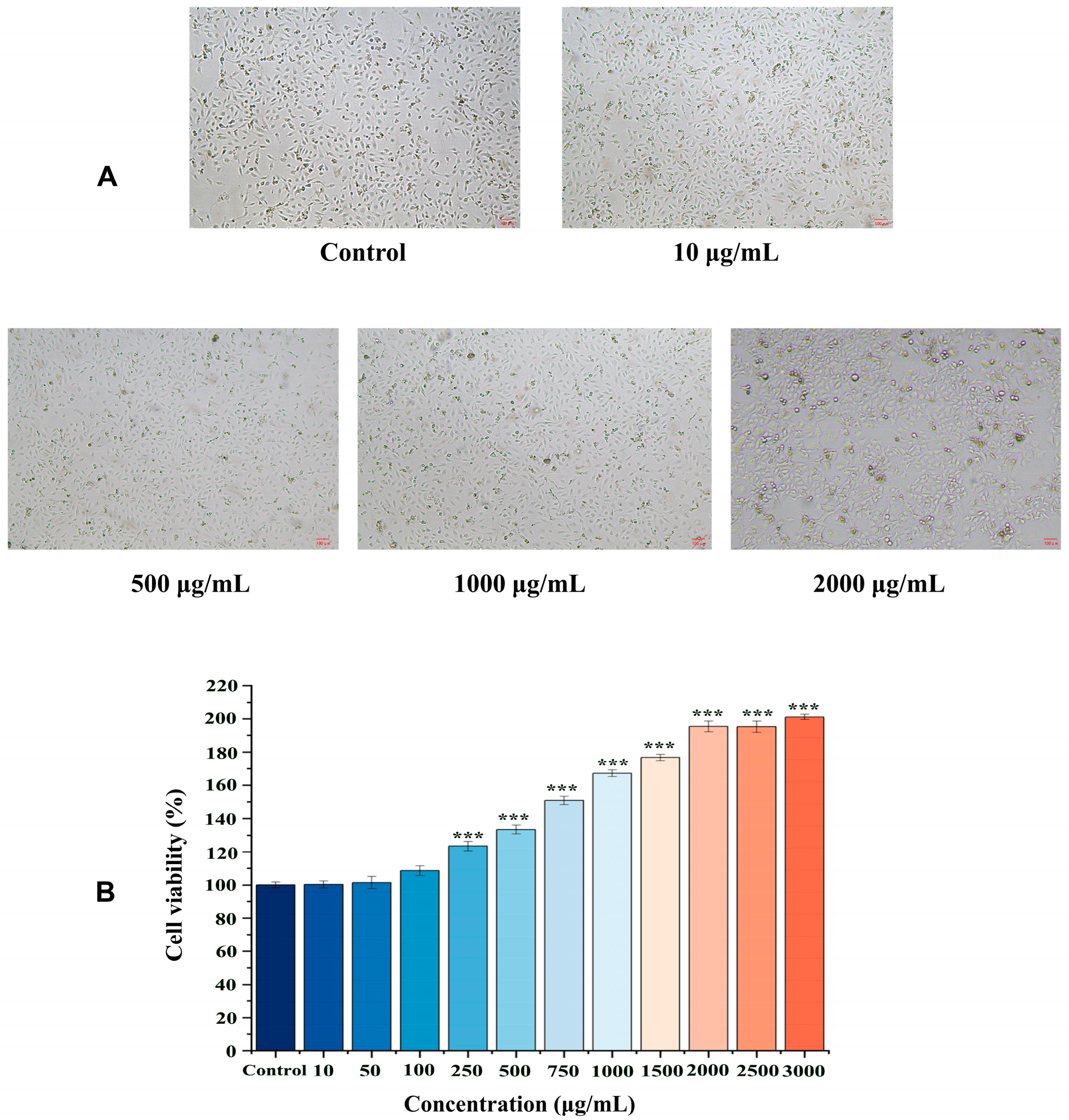 Ijms 26 10341 g003 Ijms 26 10341 g003