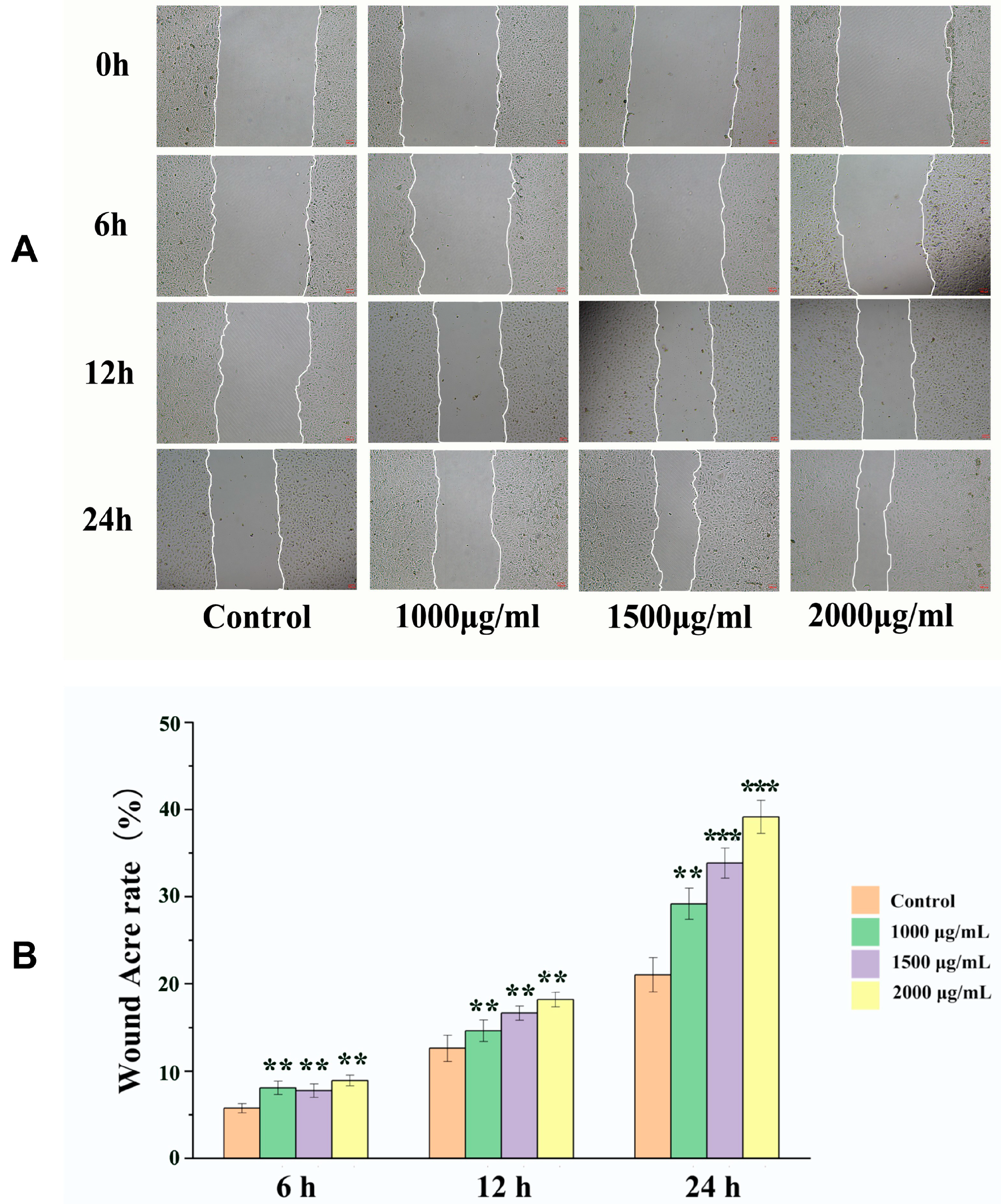 Ijms 26 10341 g004 Ijms 26 10341 g004