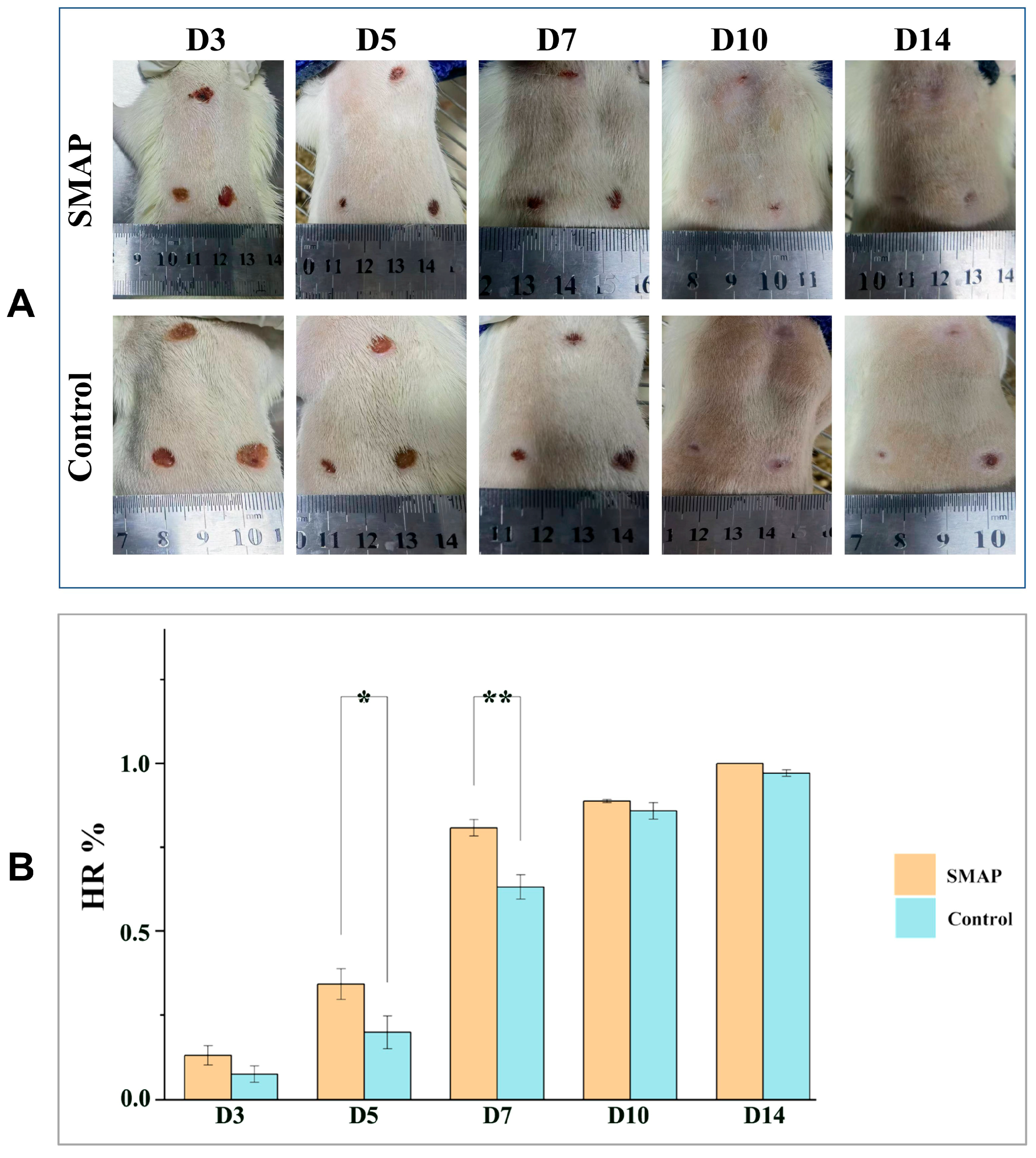 Ijms 26 10341 g006 Ijms 26 10341 g006