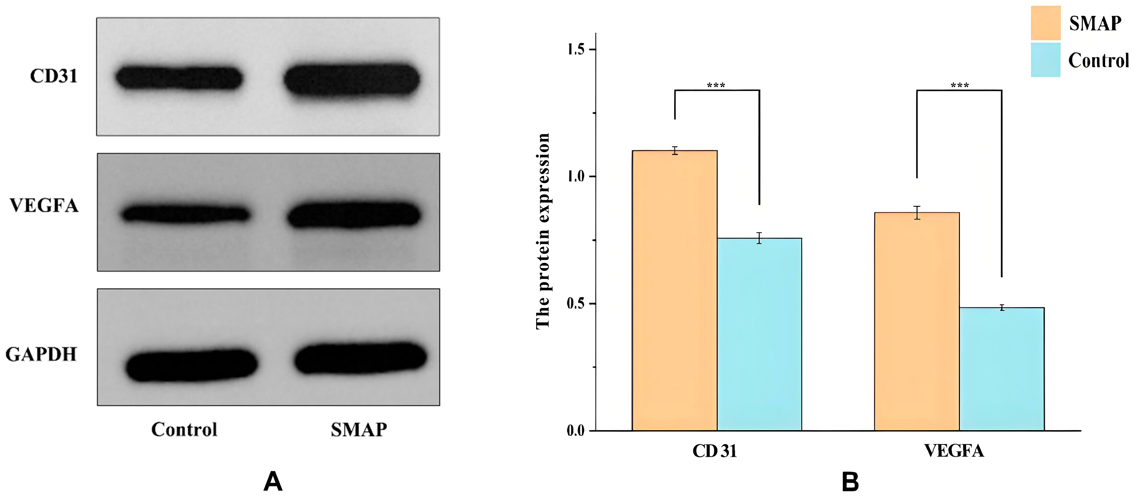 Ijms 26 10341 g008 Ijms 26 10341 g008