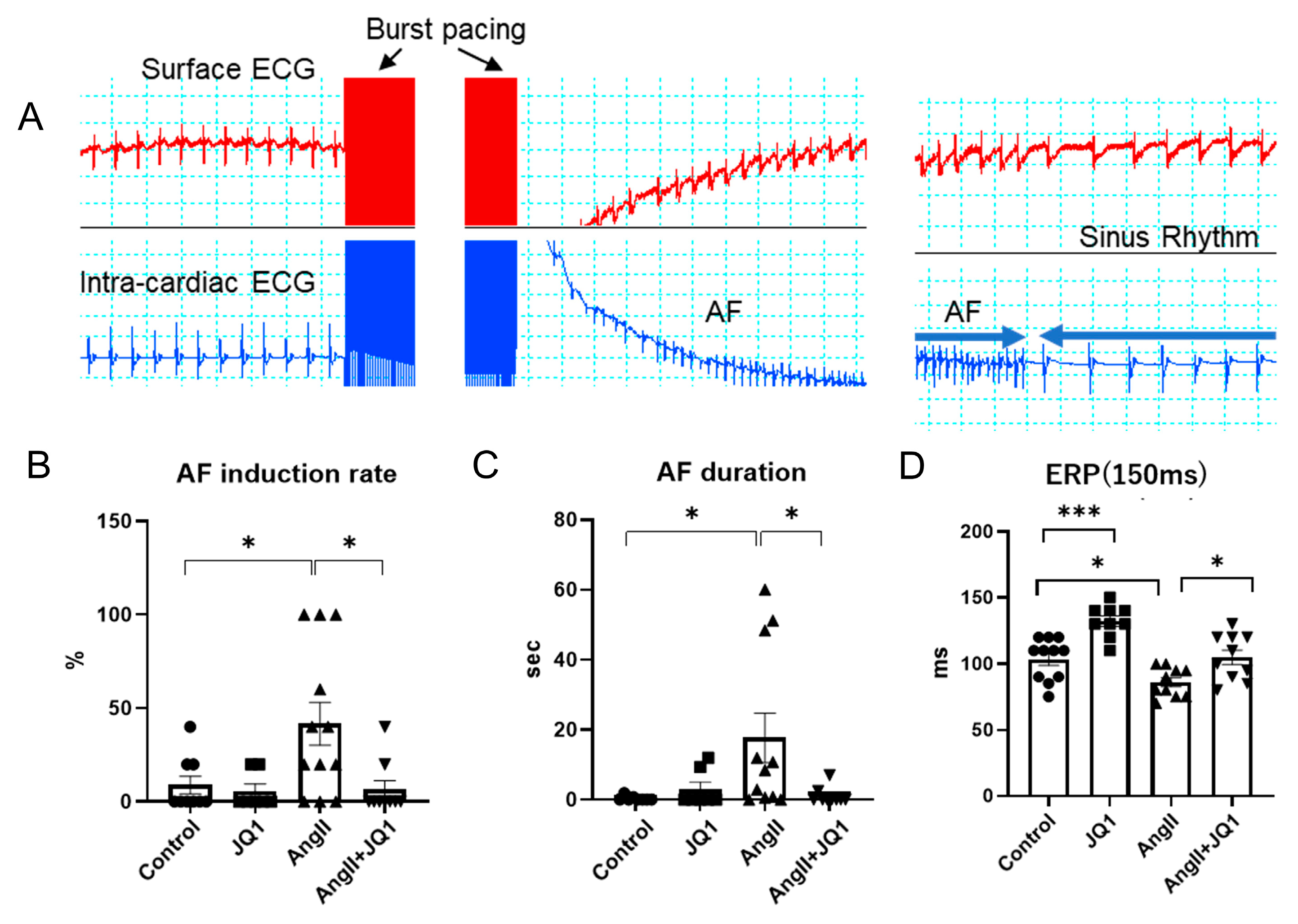 Ijms 26 10363 g001 Ijms 26 10363 g001
