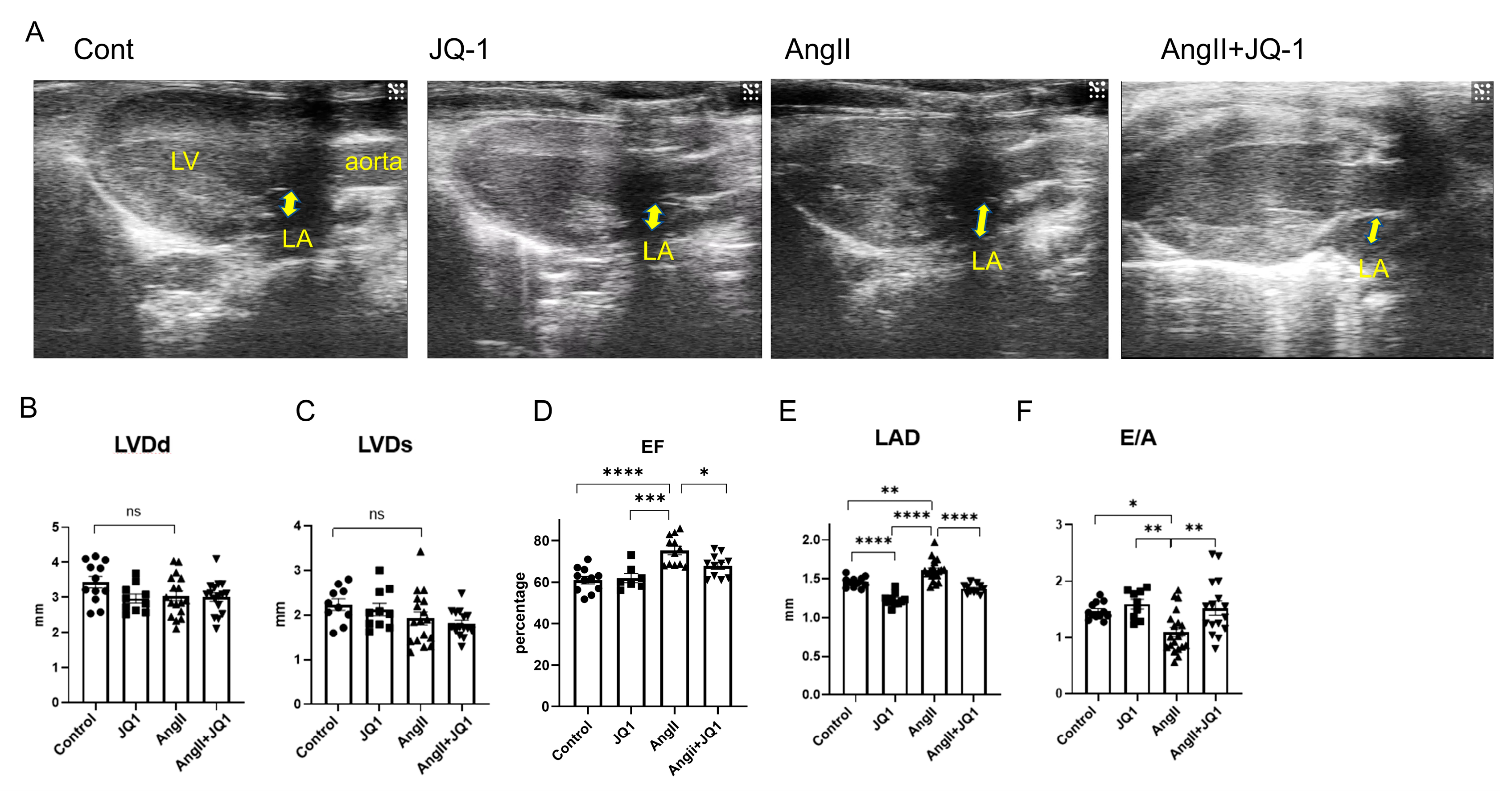 Ijms 26 10363 g002 Ijms 26 10363 g002