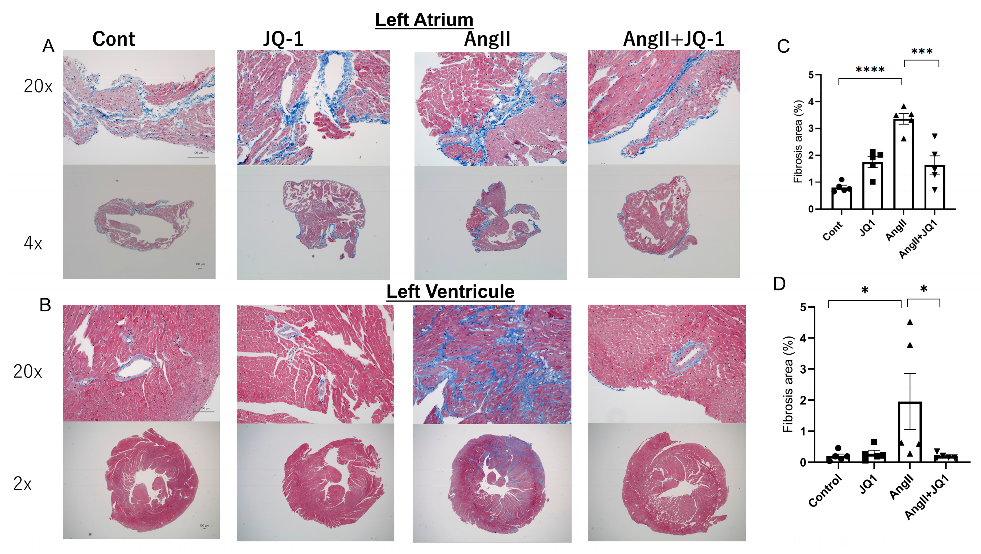 Ijms 26 10363 g003 Ijms 26 10363 g003