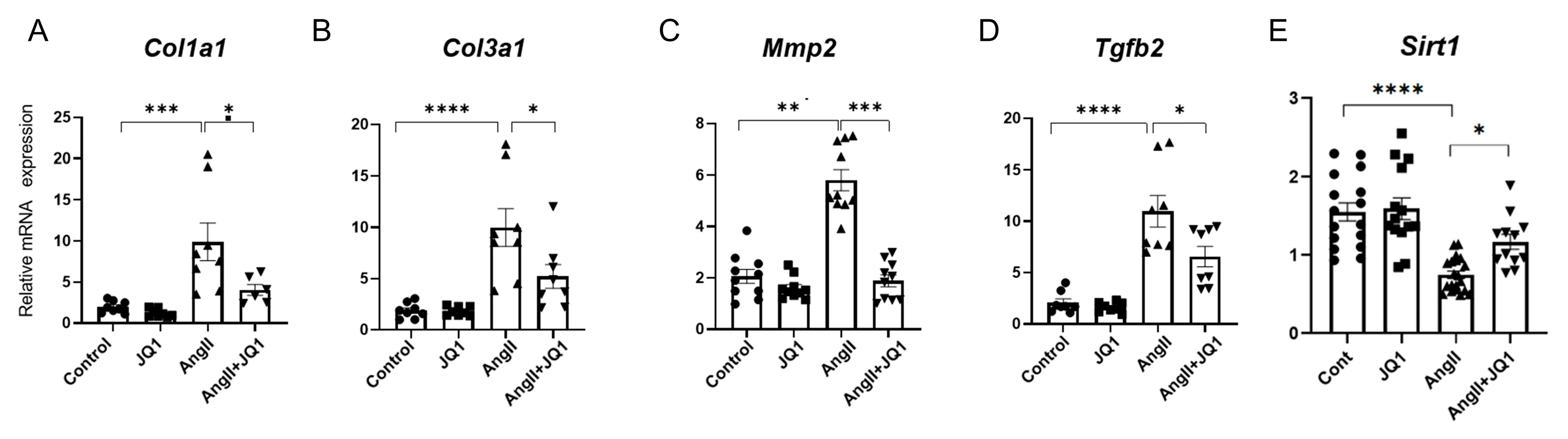 Ijms 26 10363 g004 Ijms 26 10363 g004