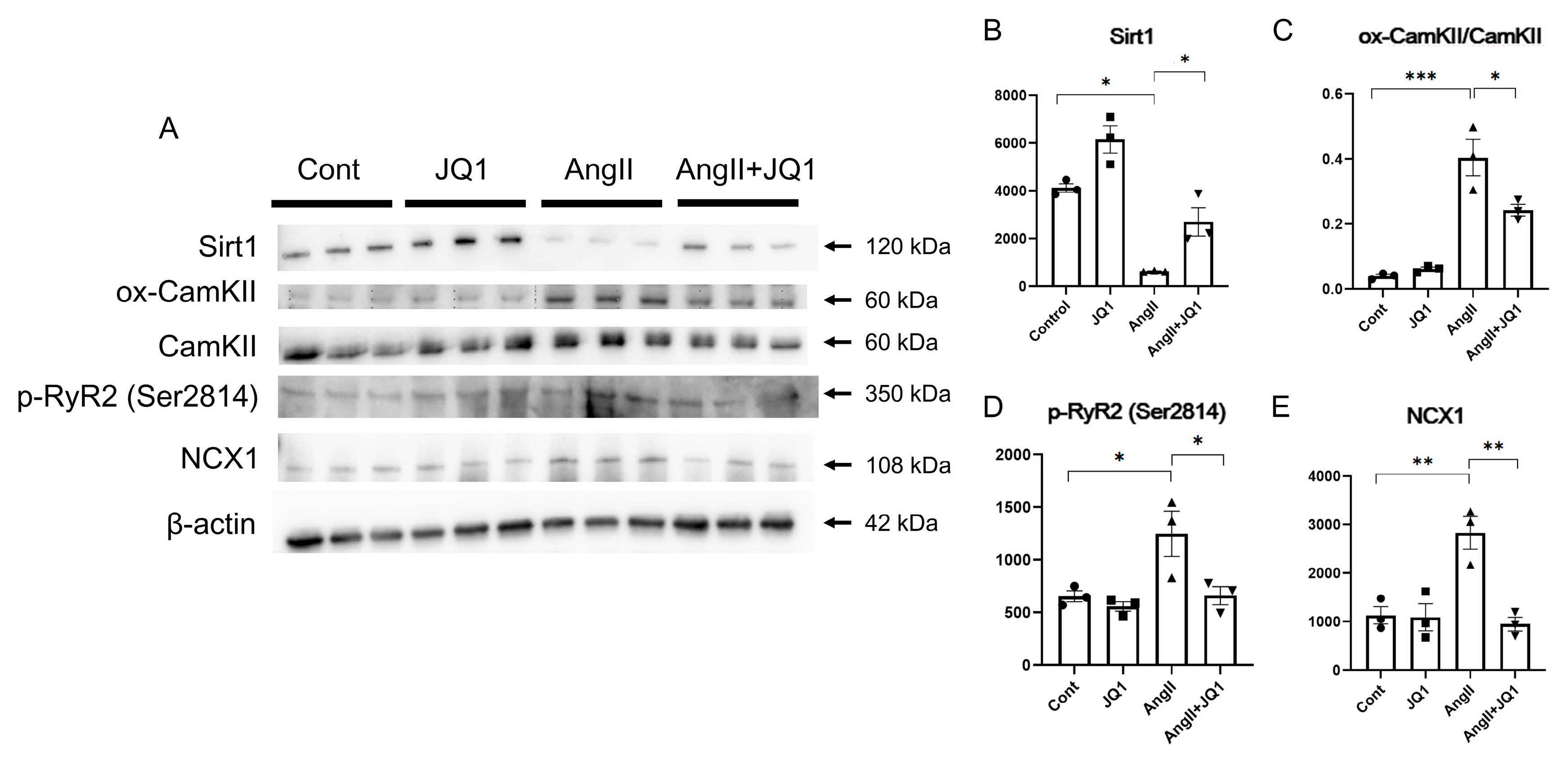 Ijms 26 10363 g005 Ijms 26 10363 g005