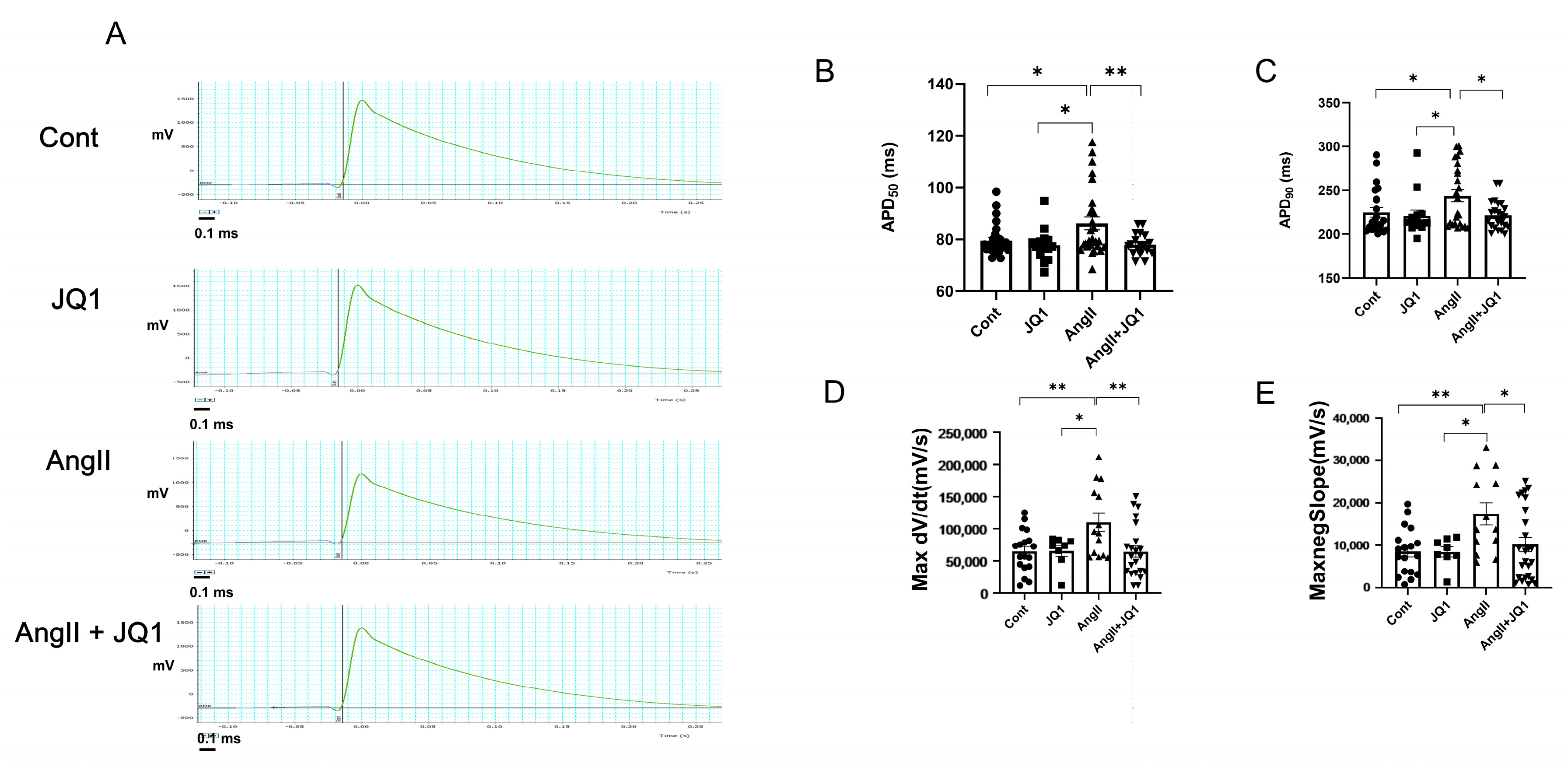Ijms 26 10363 g007 Ijms 26 10363 g007
