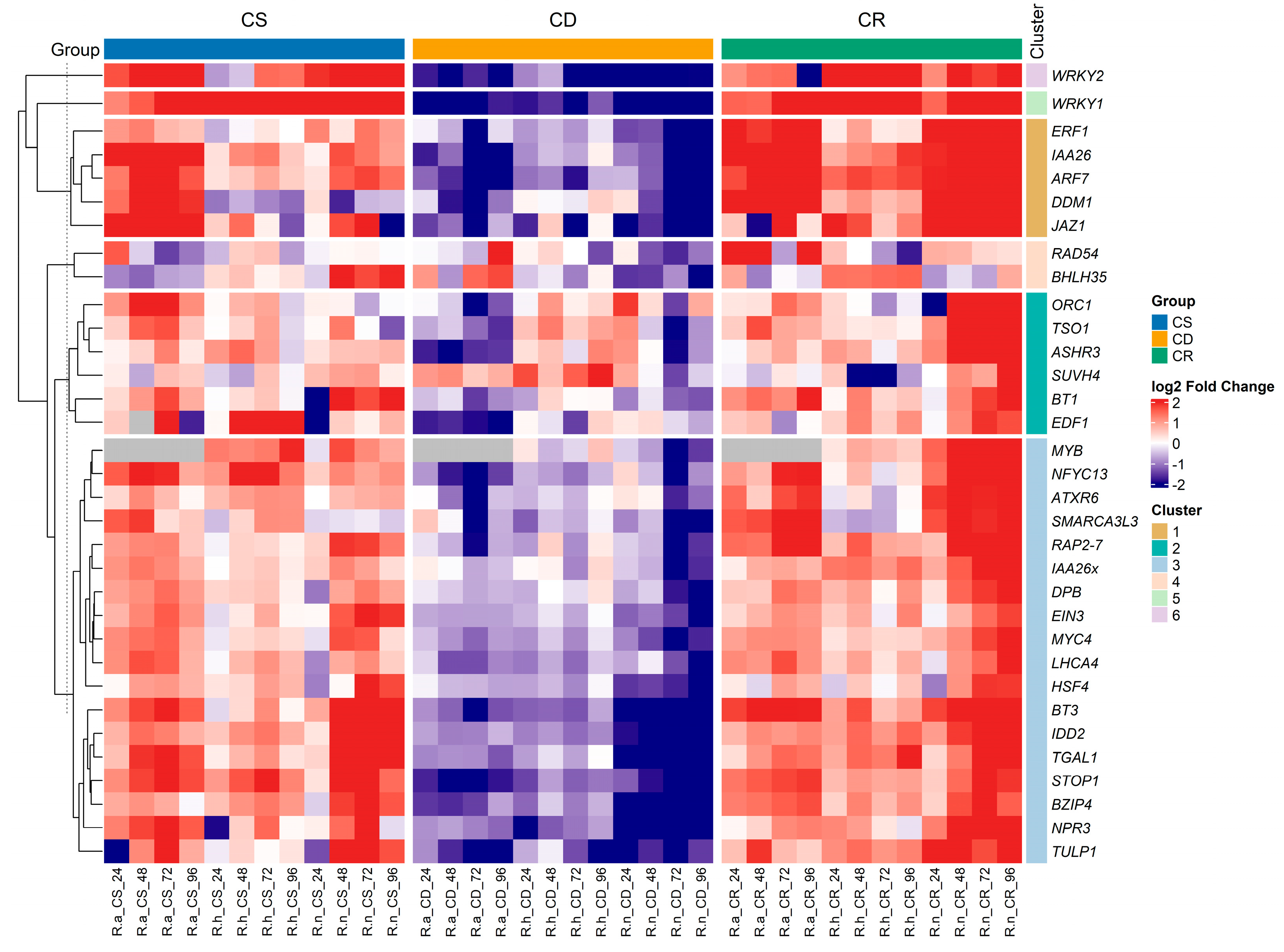 Ijms 26 10367 g002 Ijms 26 10367 g002