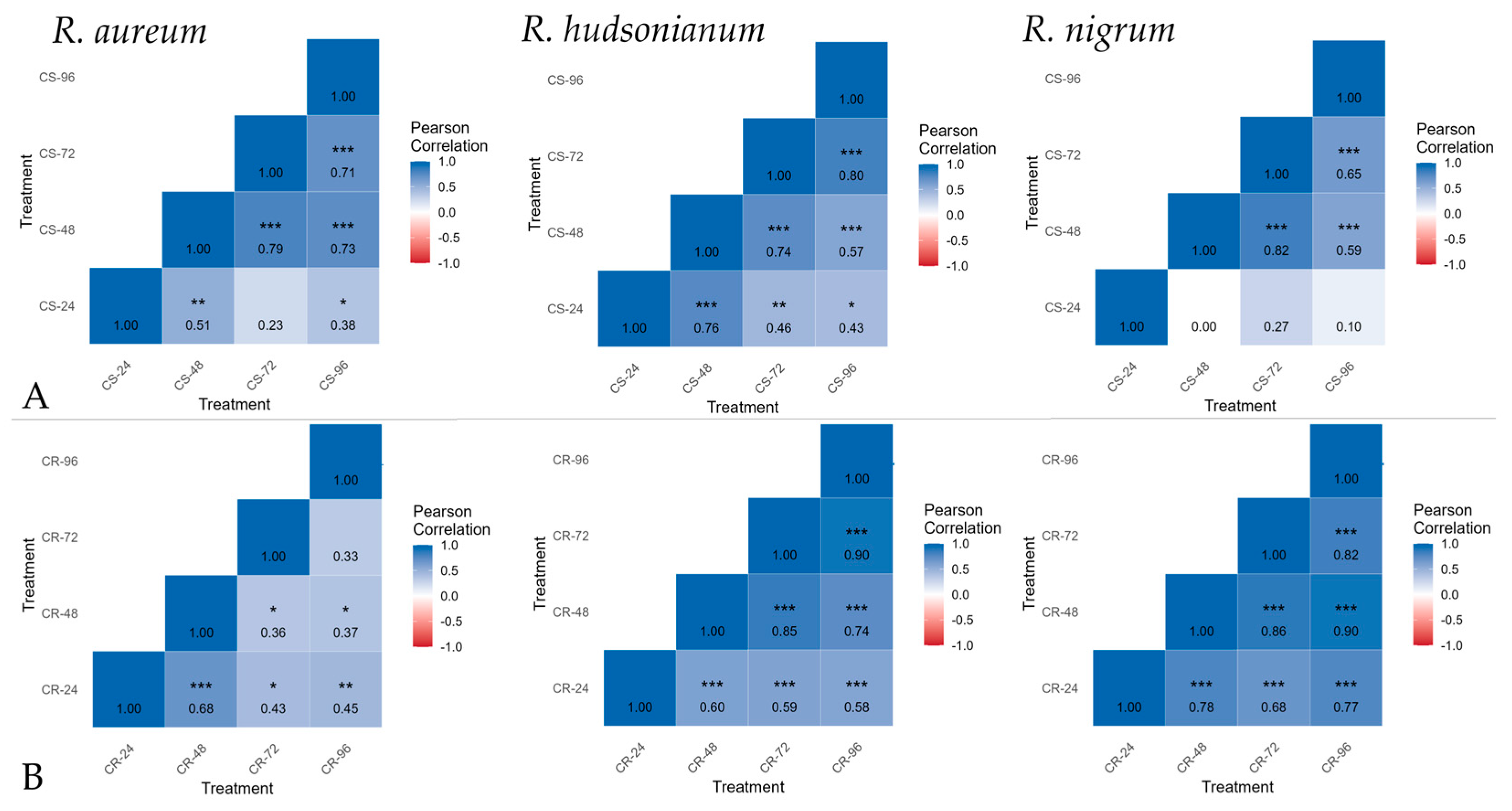 Ijms 26 10367 g004 Ijms 26 10367 g004