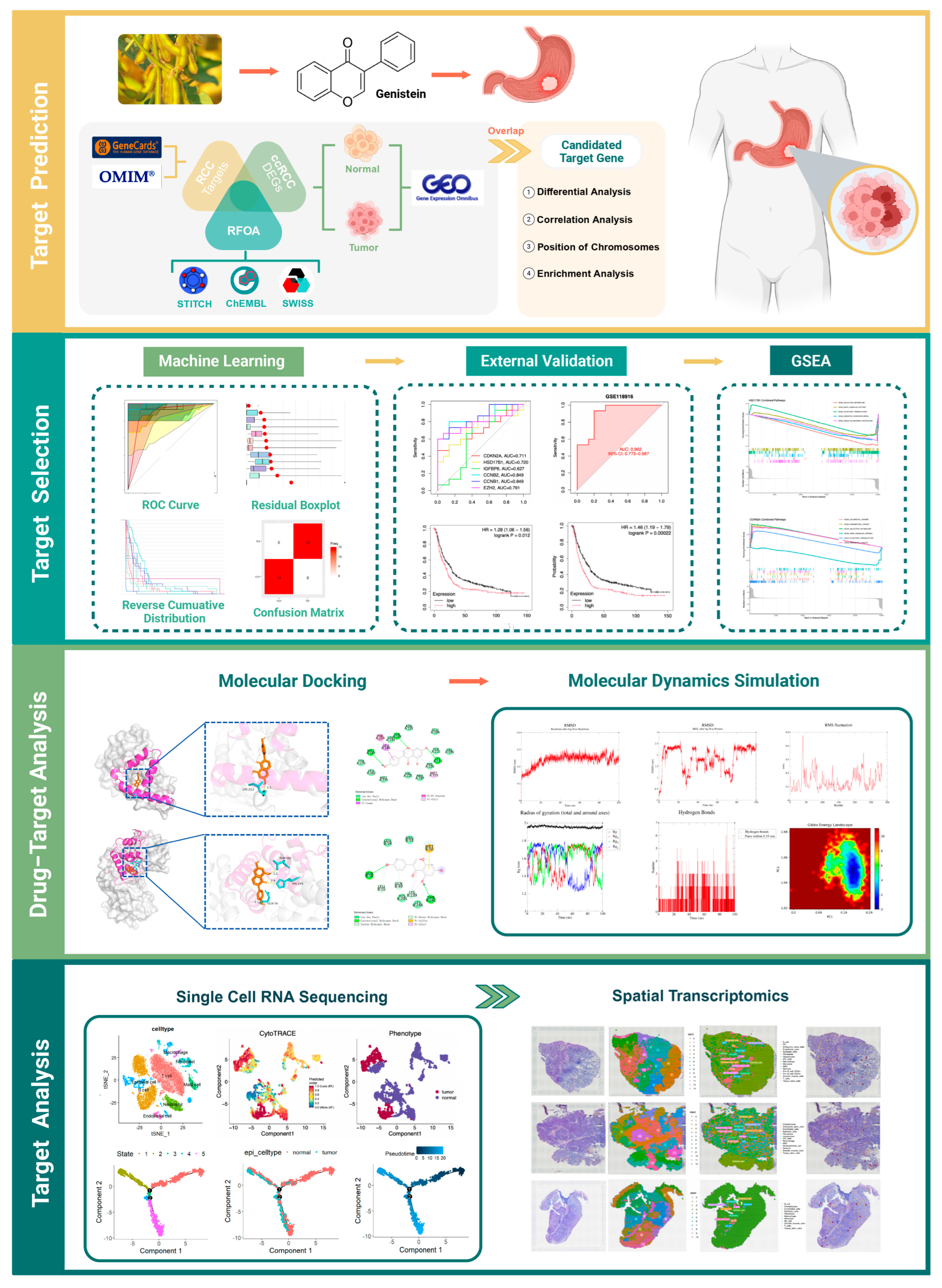 Ijms 26 10369 g001 Ijms 26 10369 g001