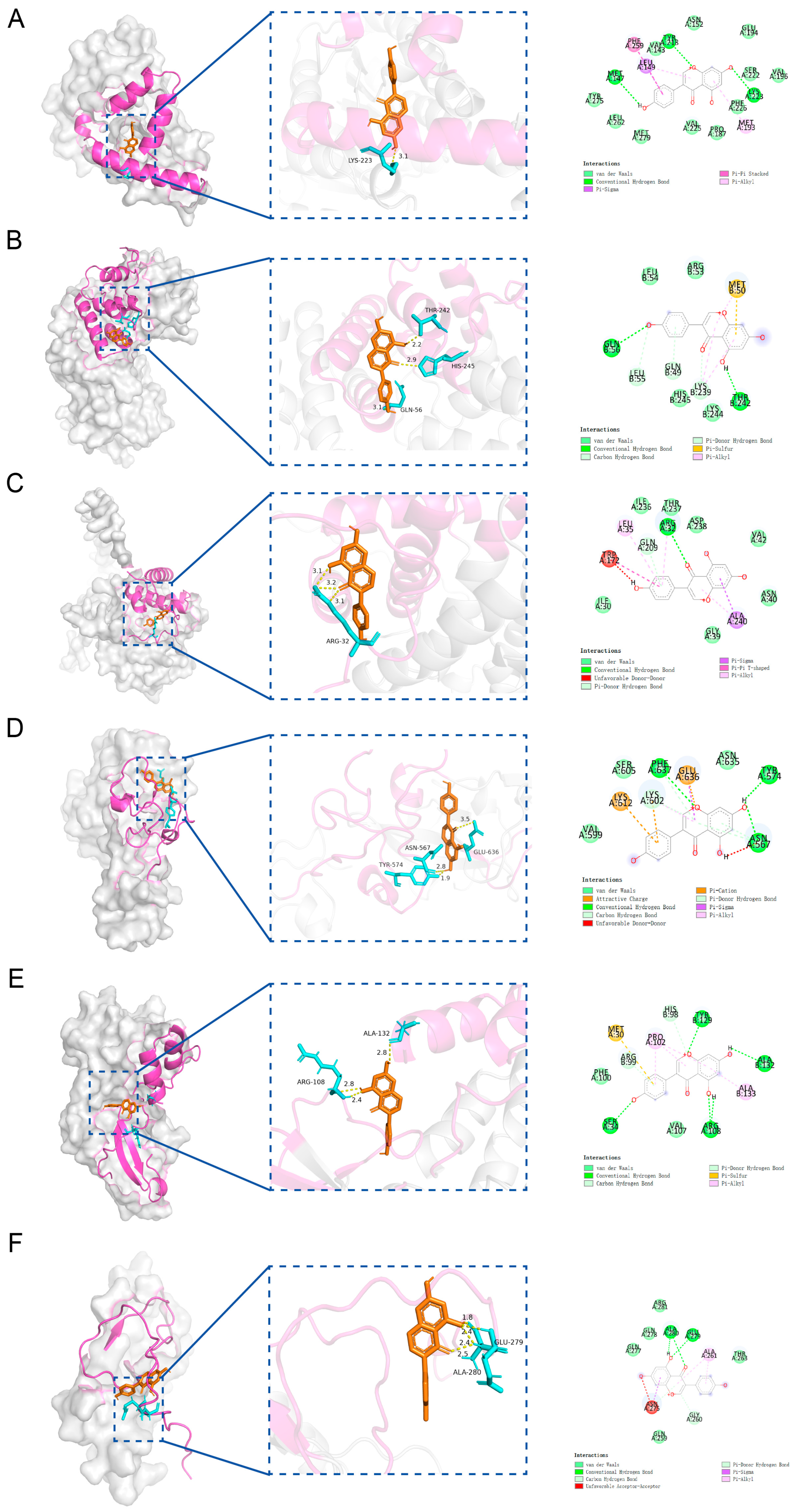 Ijms 26 10369 g006 Ijms 26 10369 g006