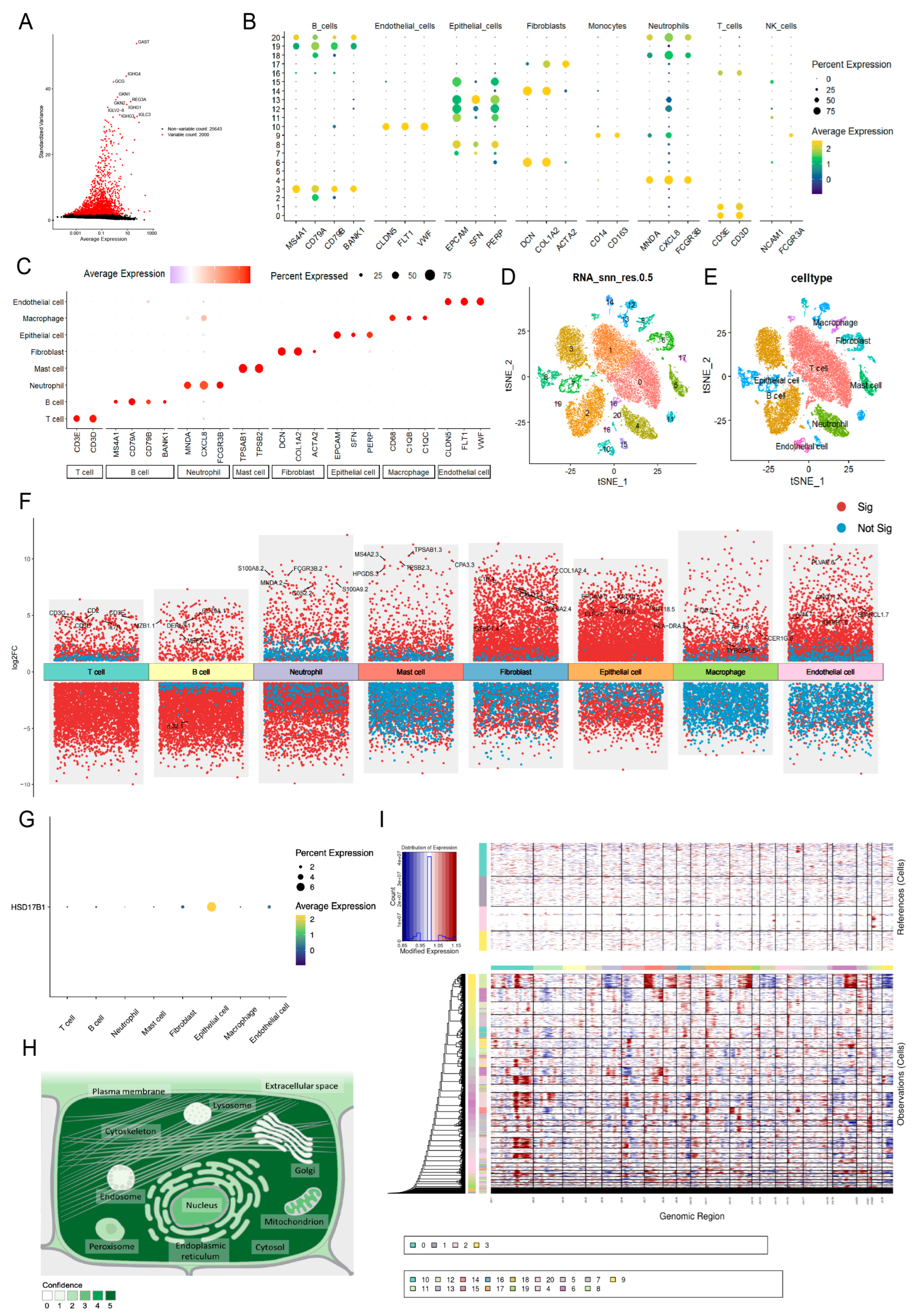 Ijms 26 10369 g008 Ijms 26 10369 g008