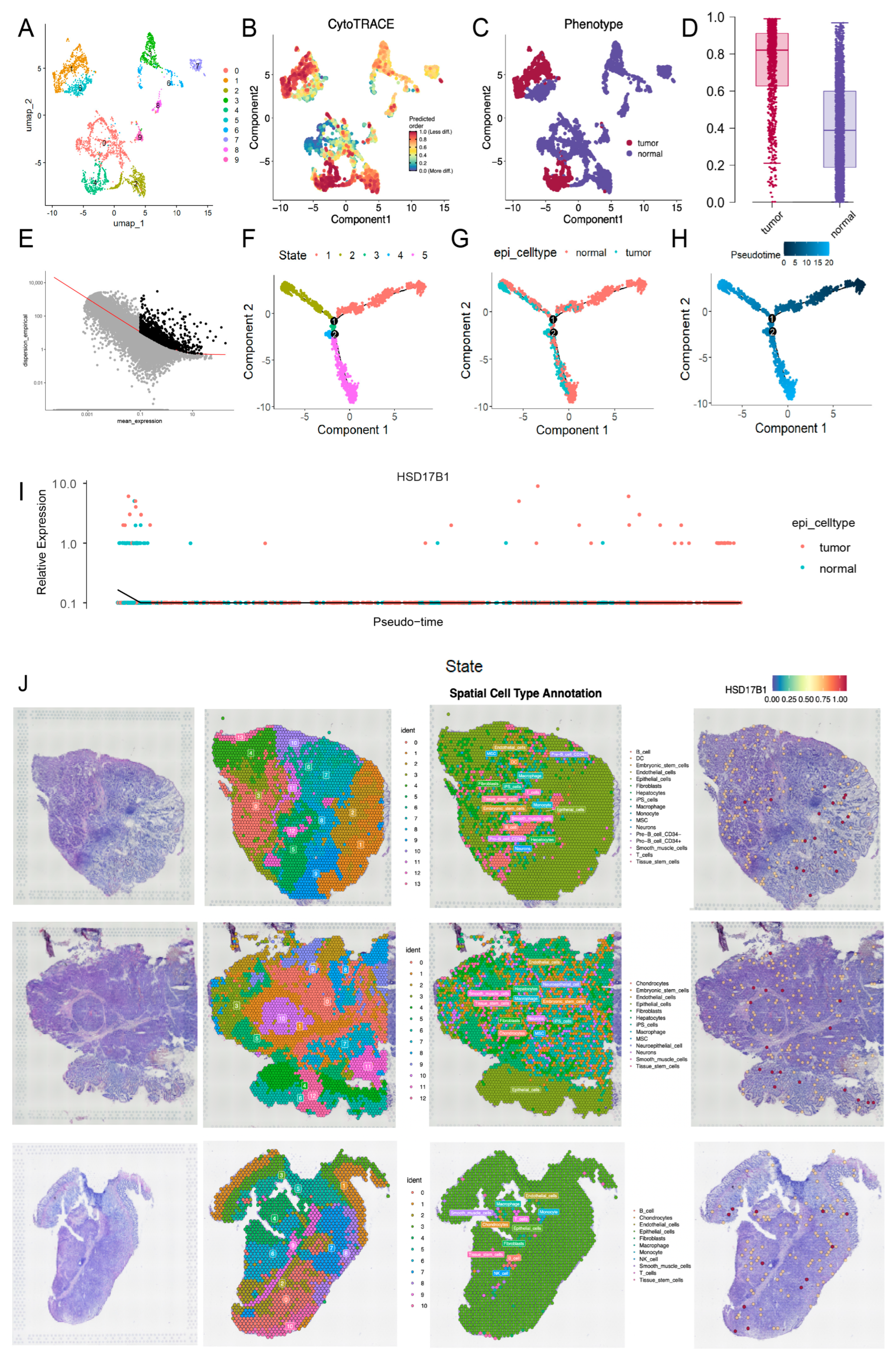 Ijms 26 10369 g009 Ijms 26 10369 g009