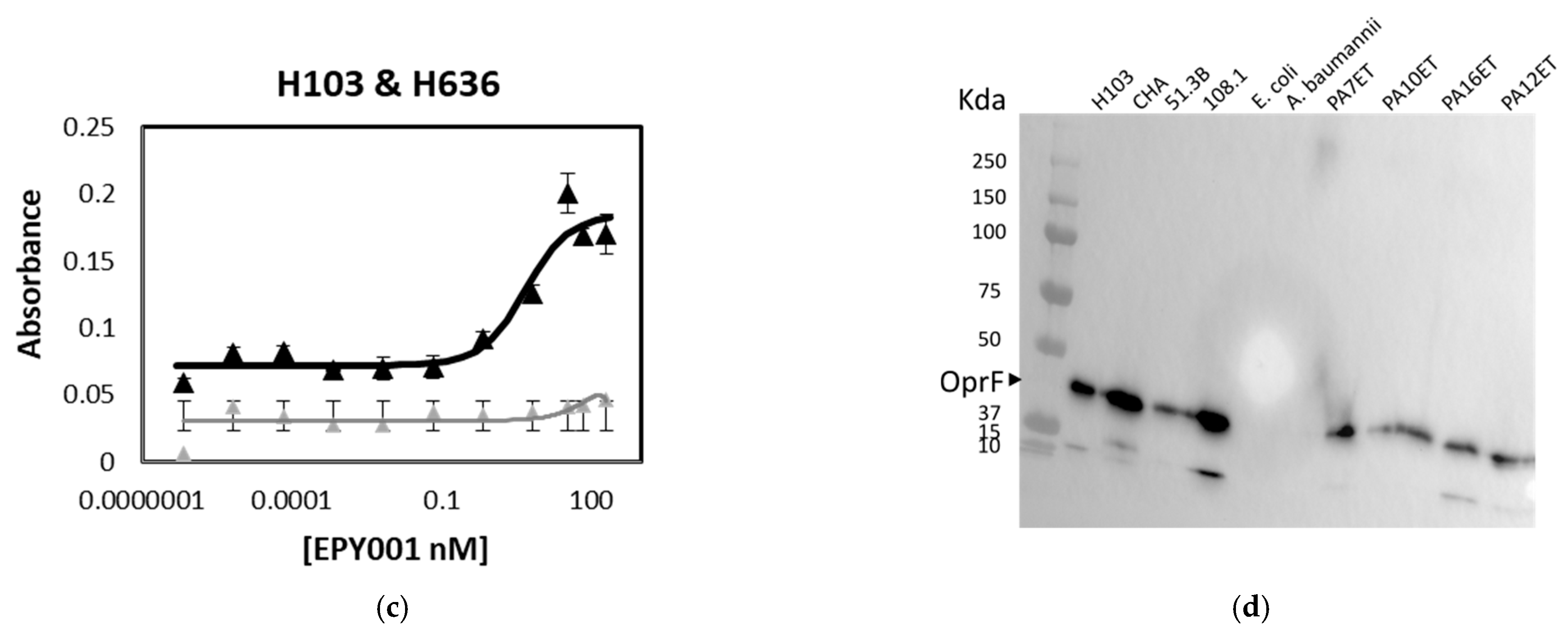 Ijms 26 10380 g001b Ijms 26 10380 g001b