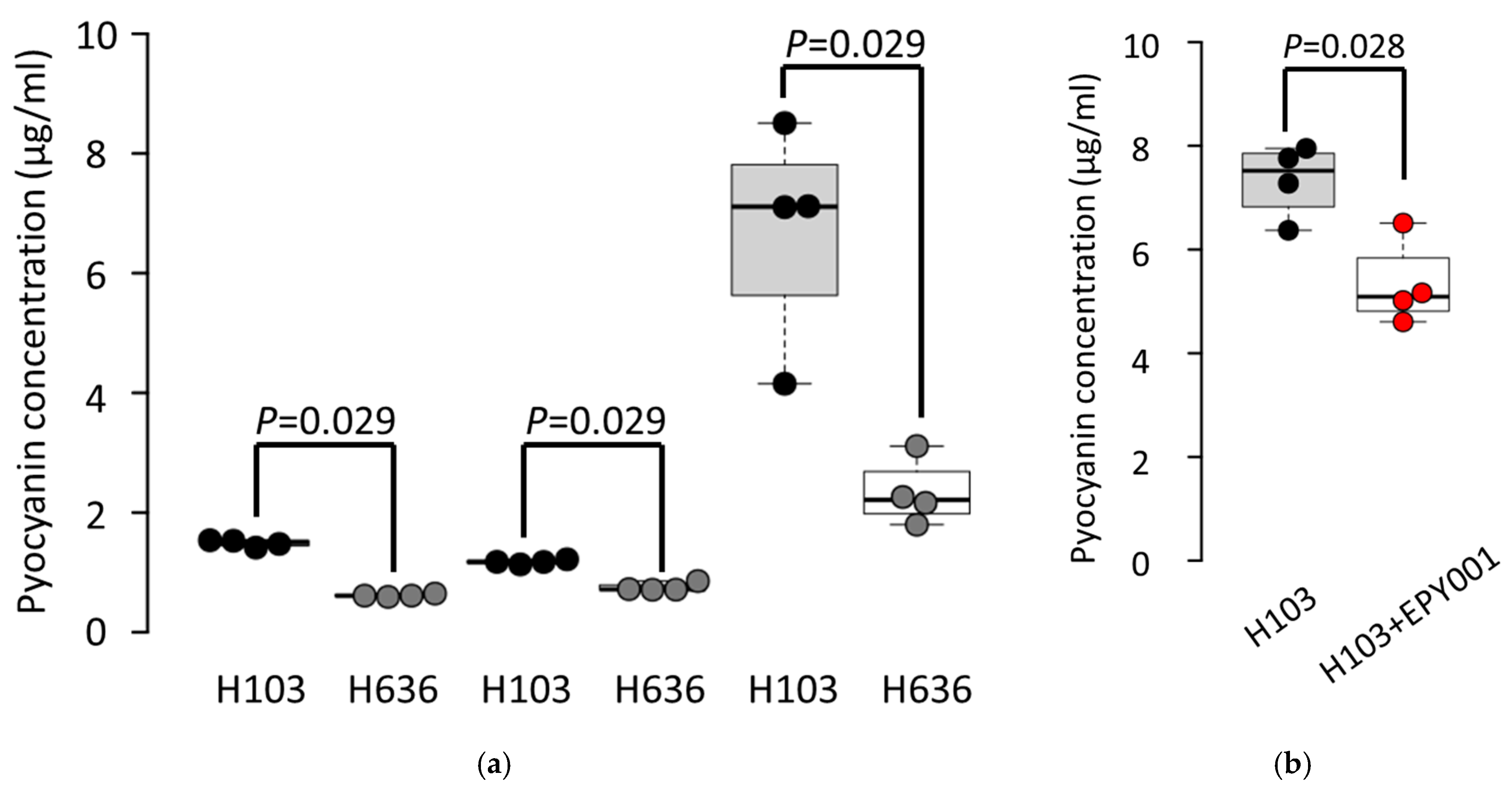 Ijms 26 10380 g006 Ijms 26 10380 g006