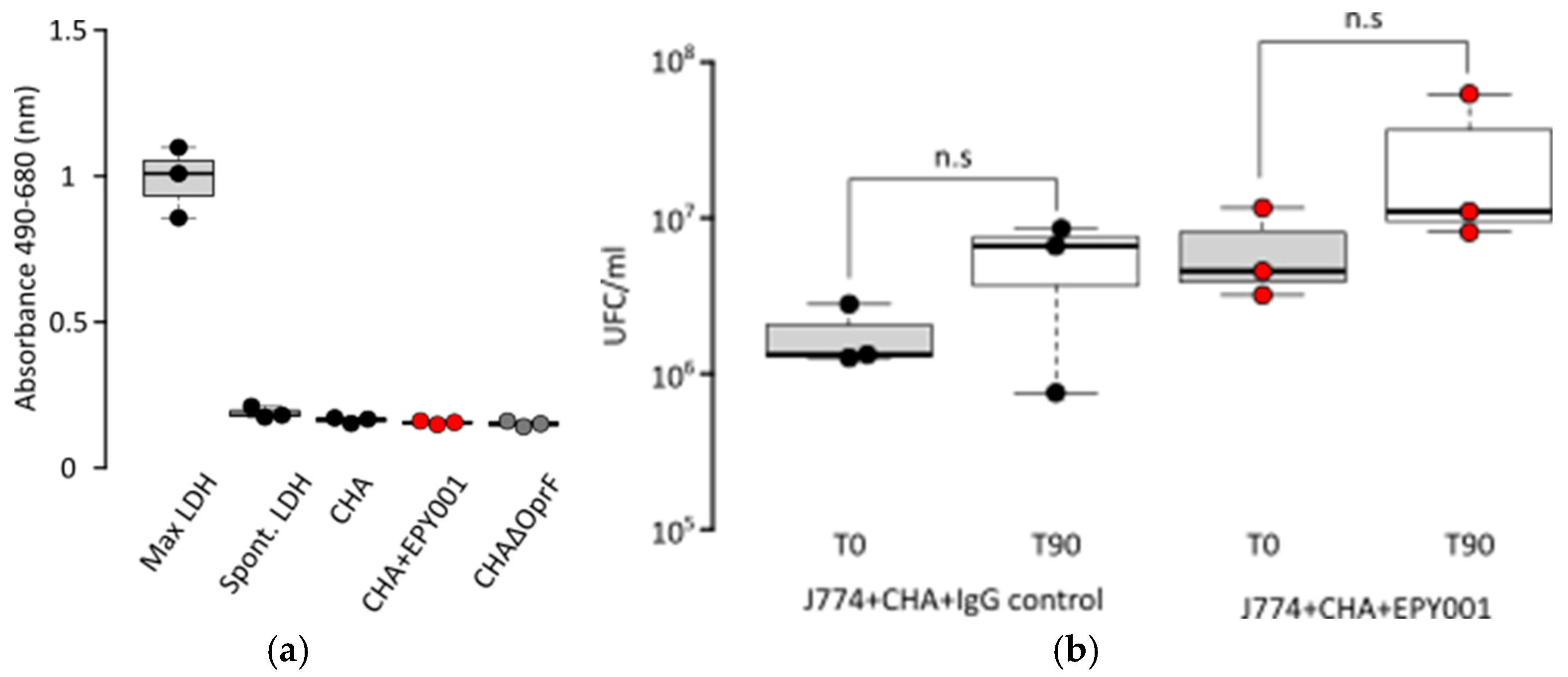 Ijms 26 10380 g008 Ijms 26 10380 g008