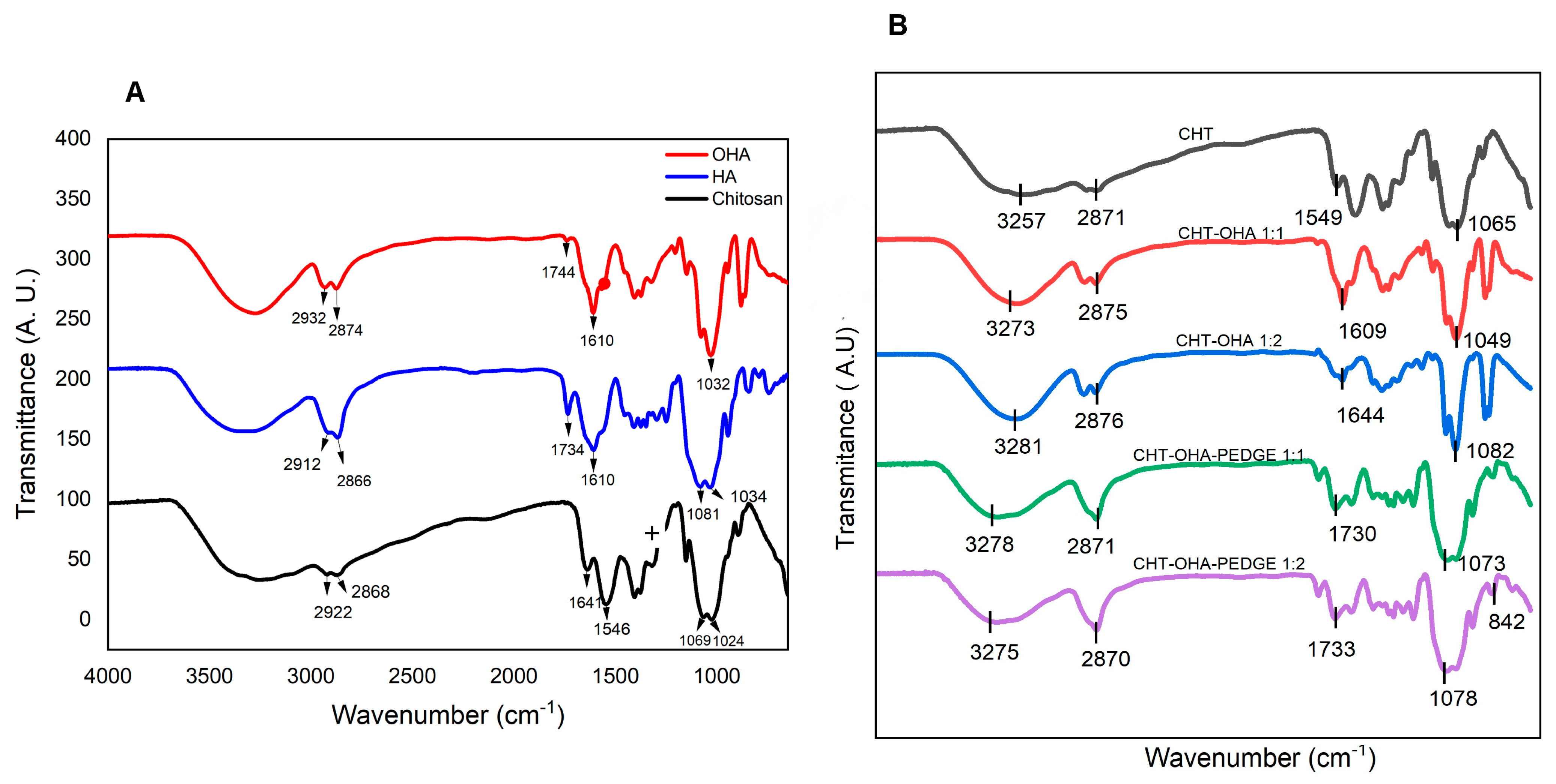 Ijms 26 10383 g001 Ijms 26 10383 g001