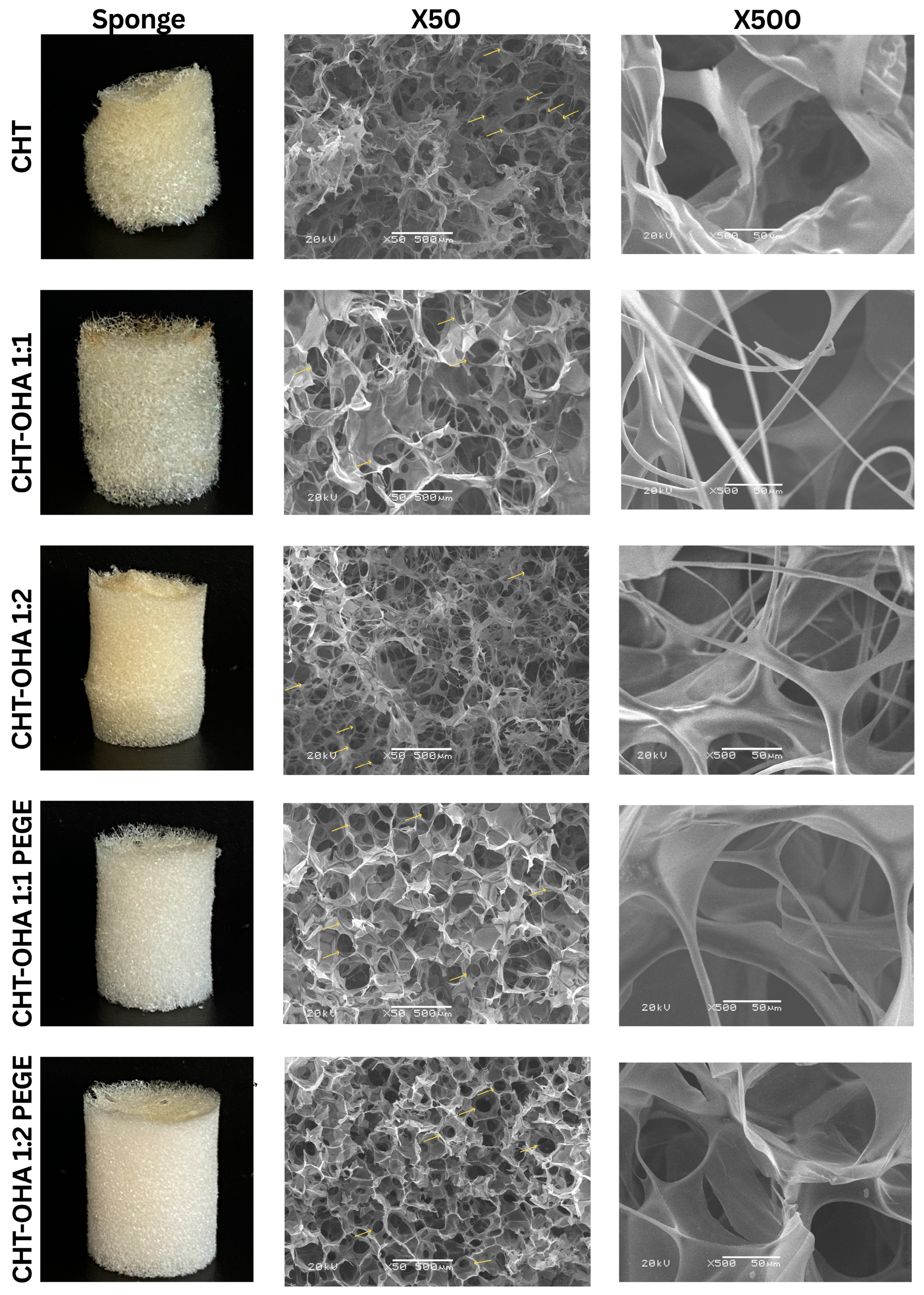 Ijms 26 10383 g004 Ijms 26 10383 g004