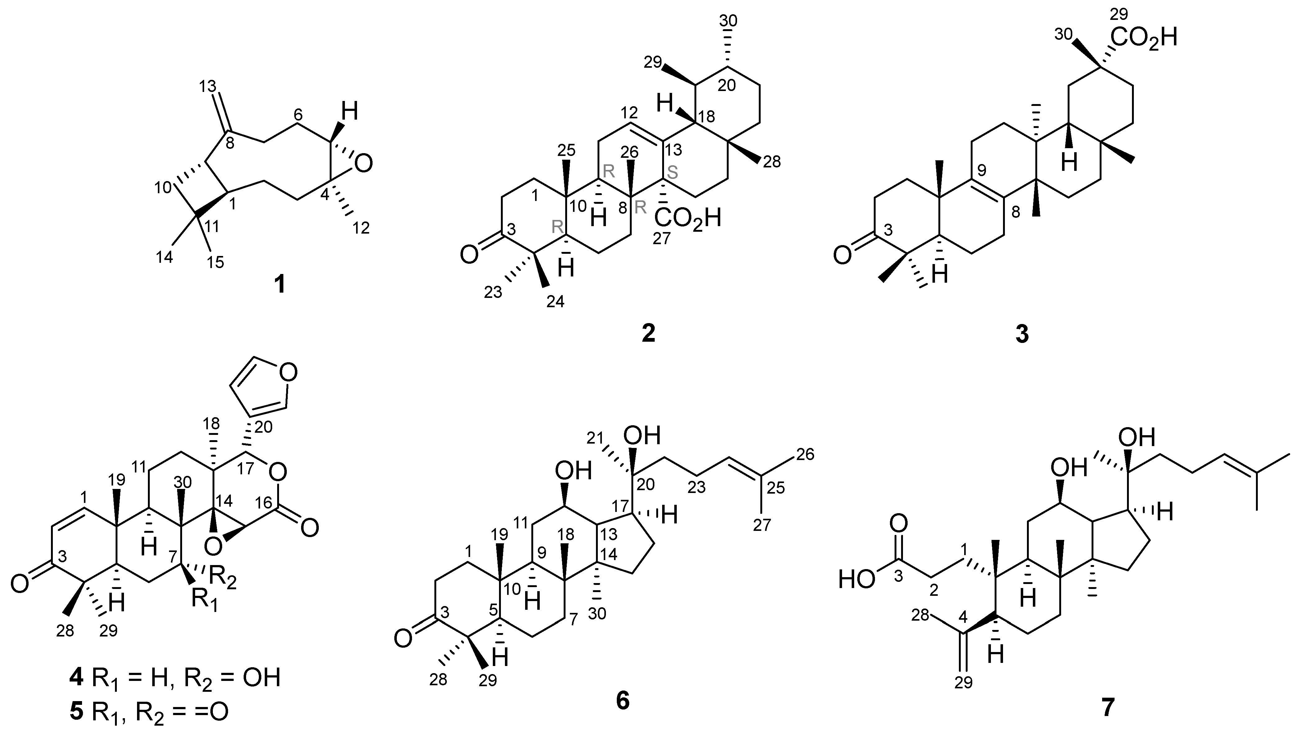 Ijms 26 10389 g001 Ijms 26 10389 g001