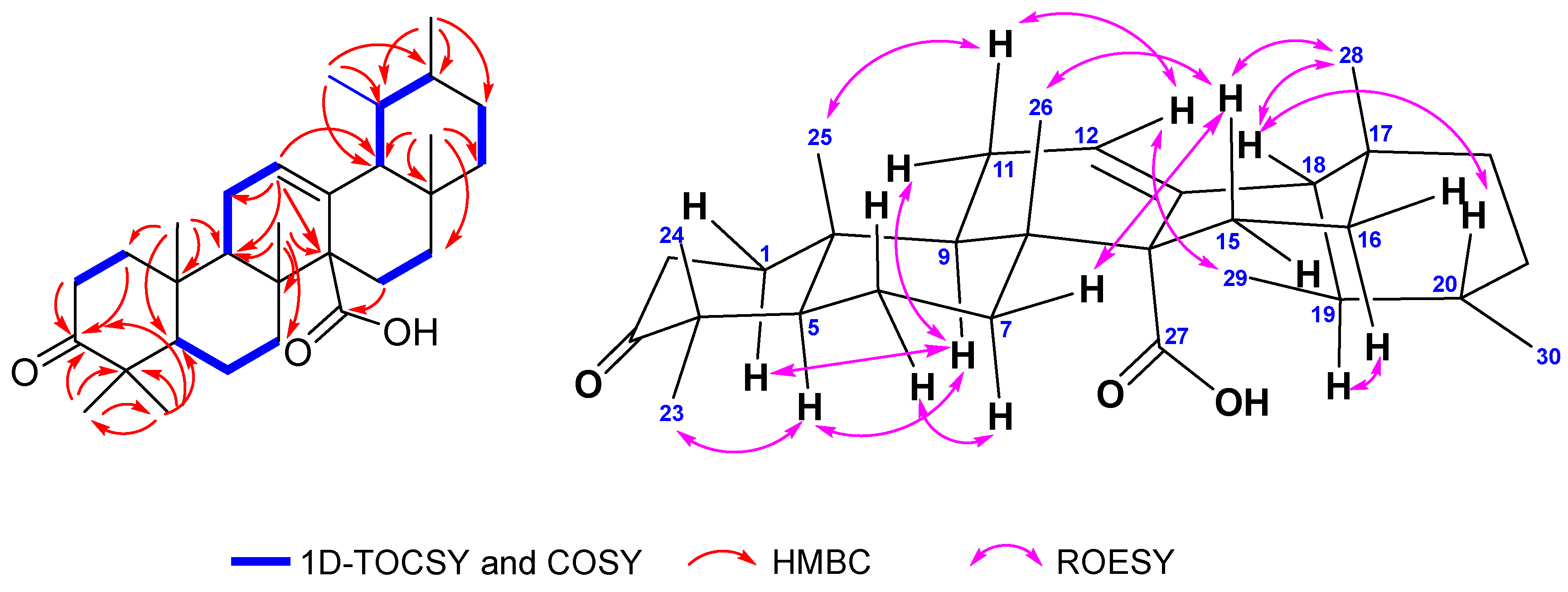 Ijms 26 10389 g002 Ijms 26 10389 g002