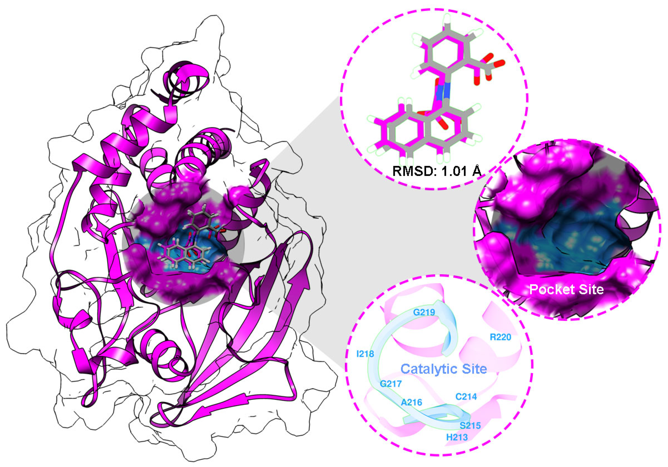 Ijms 26 10389 g004 Ijms 26 10389 g004