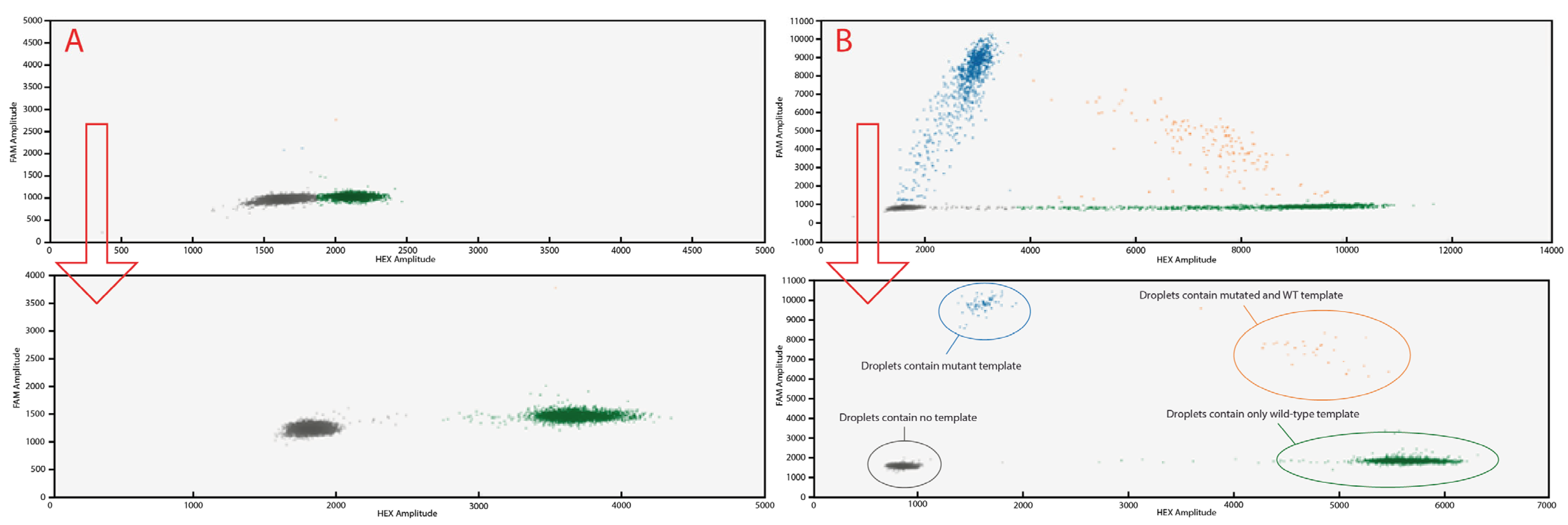 Ijms 26 10397 g003 Ijms 26 10397 g003