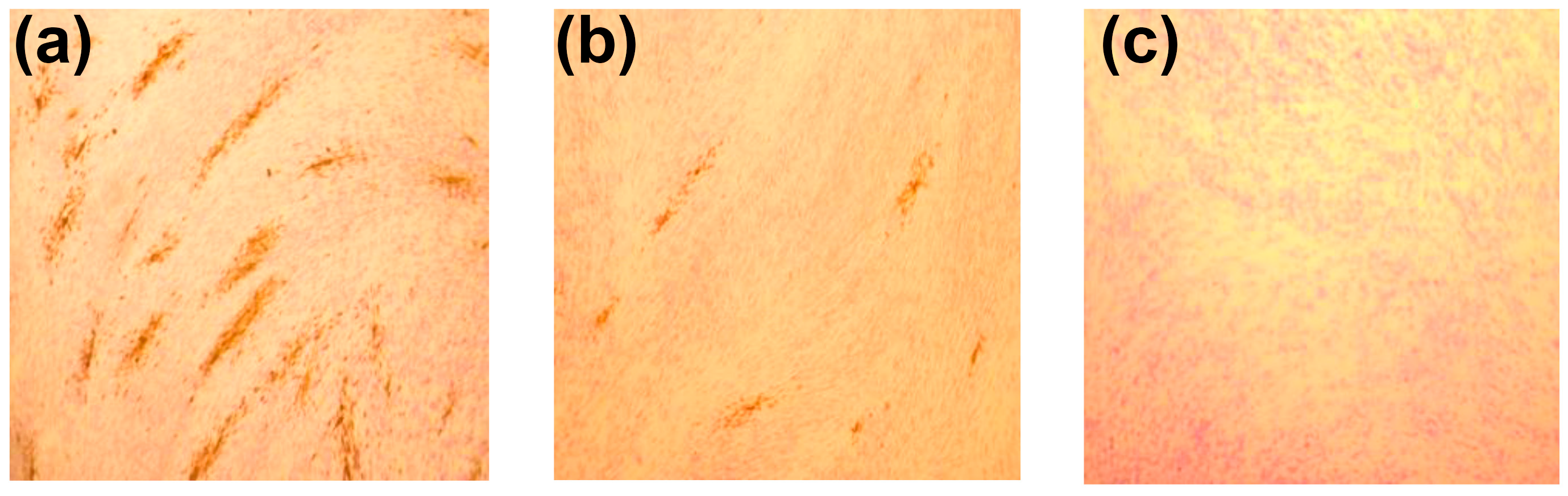 Ijms 26 10398 g008 Ijms 26 10398 g008