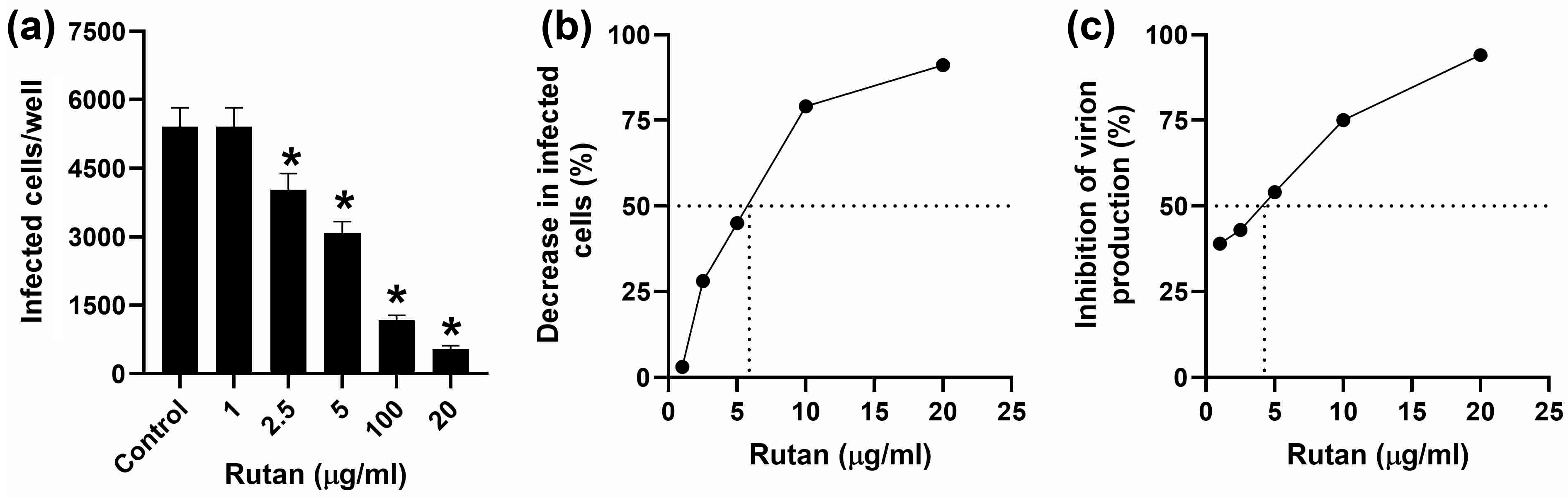 Ijms 26 10398 g009 Ijms 26 10398 g009