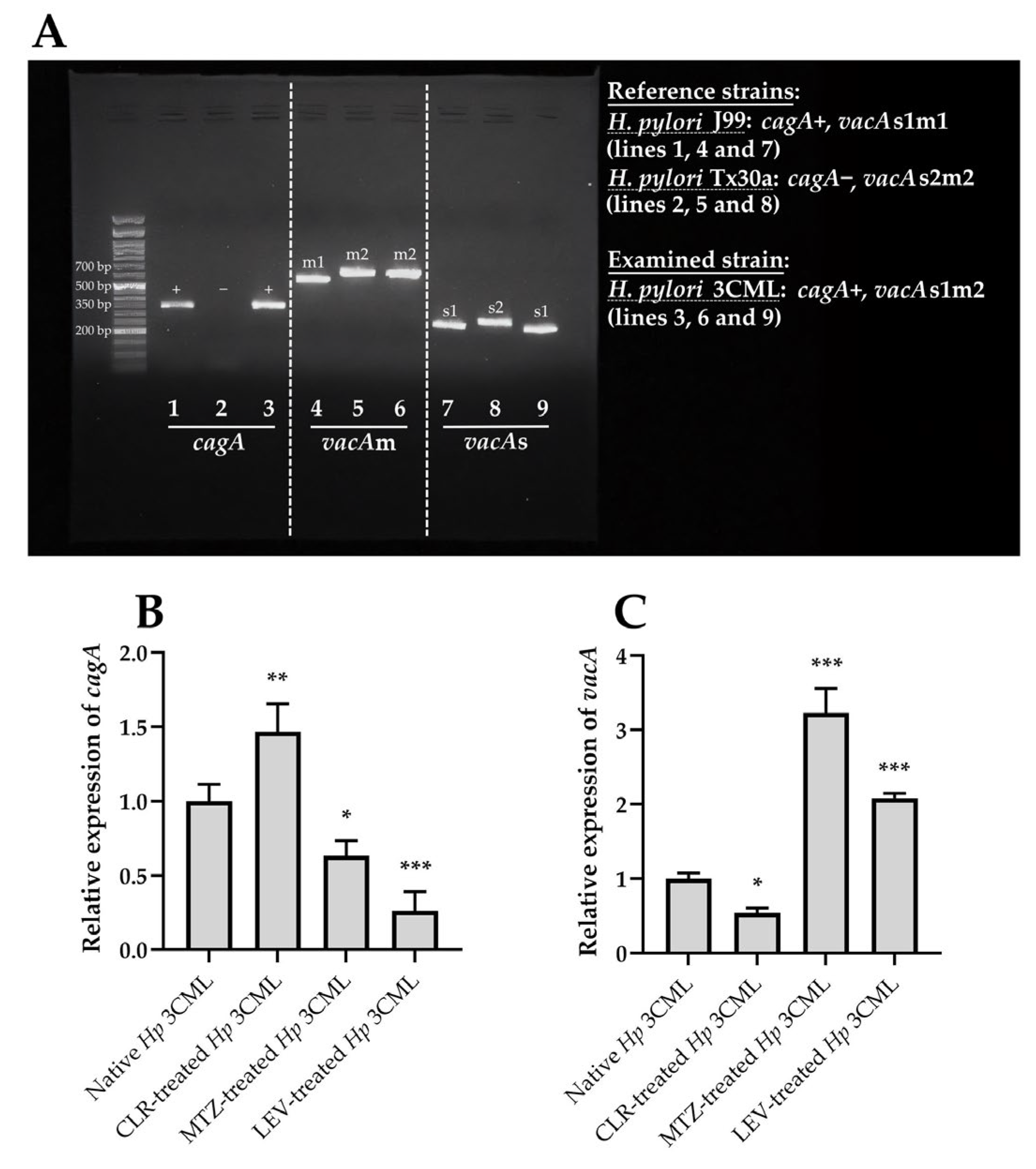 Ijms 26 10399 g002 Ijms 26 10399 g002