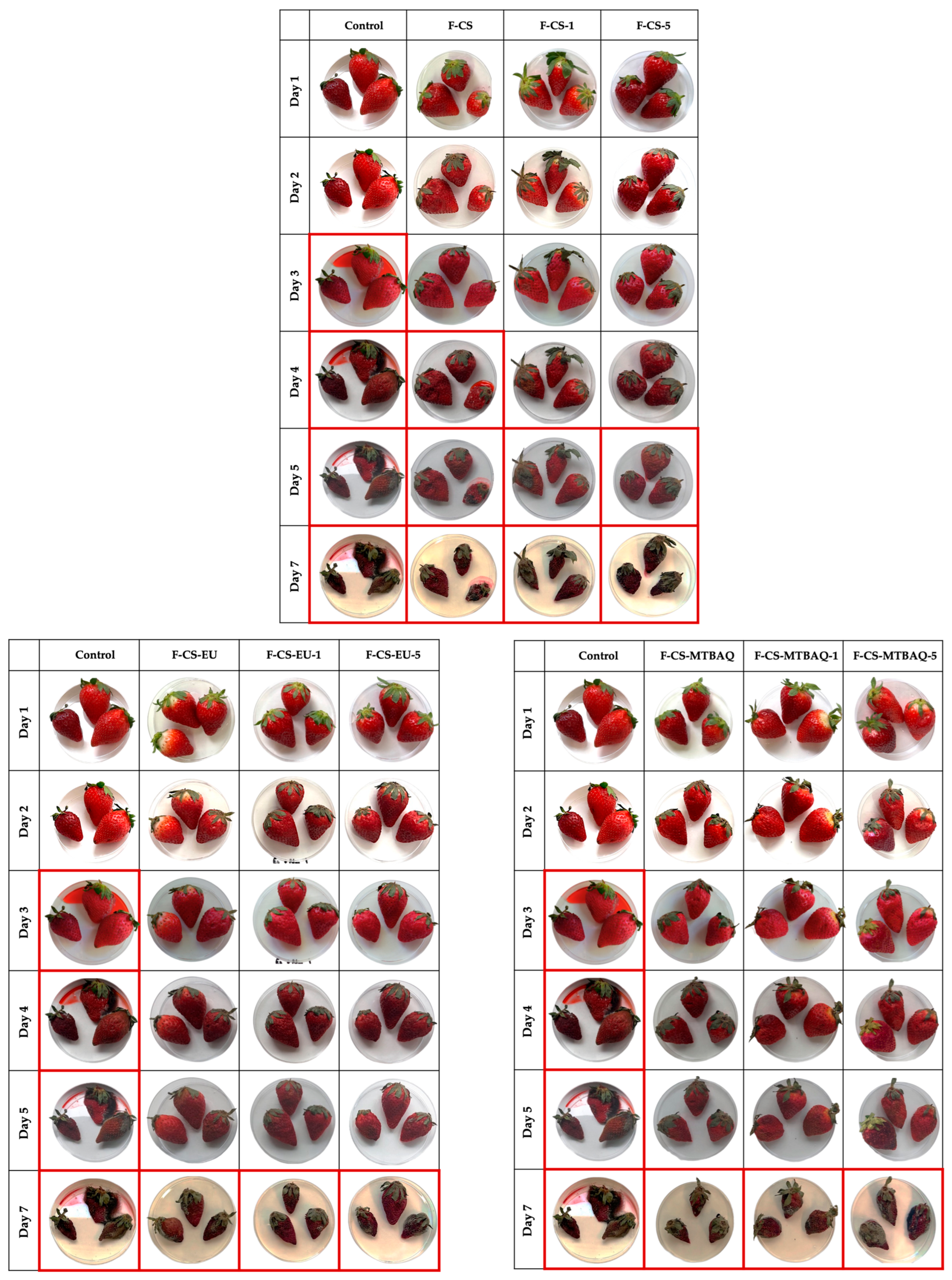 Ijms 26 10403 g011 Ijms 26 10403 g011