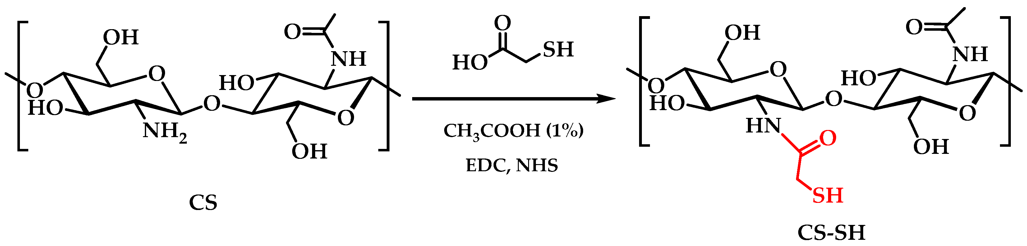 Ijms 26 10403 g012 Ijms 26 10403 g012
