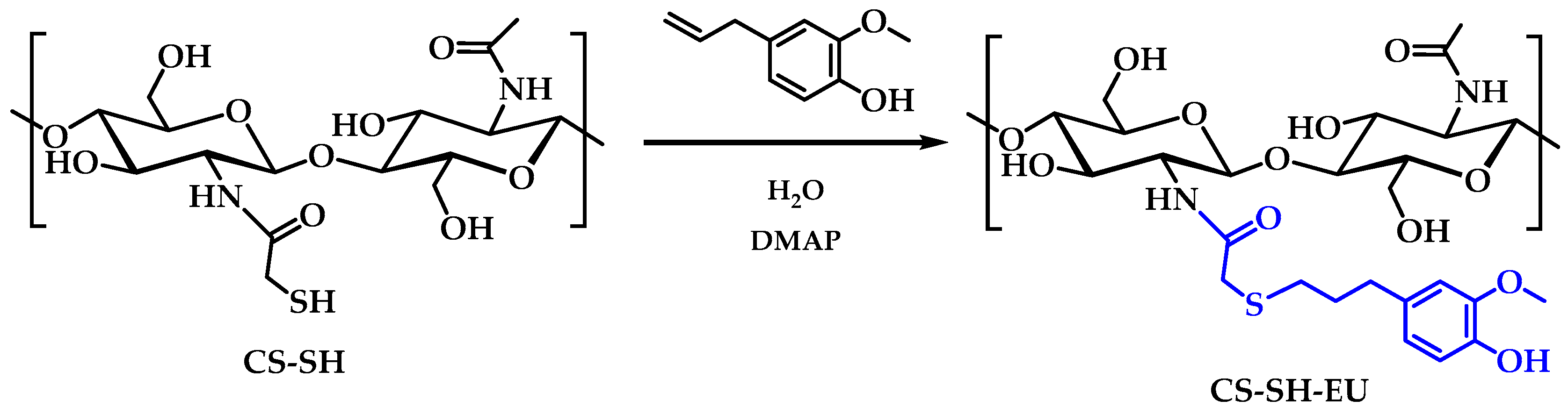 Ijms 26 10403 g013 Ijms 26 10403 g013