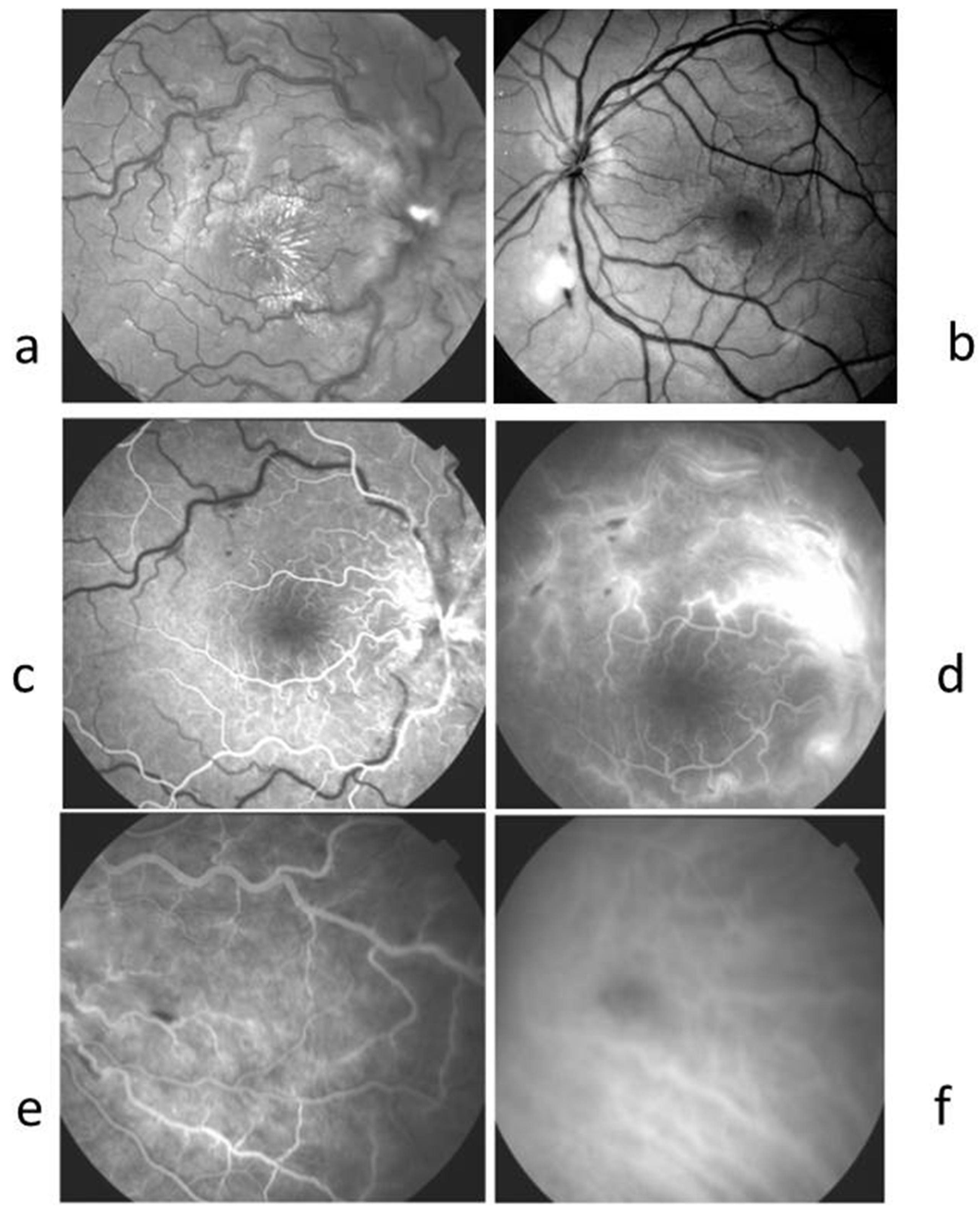 Ijms 26 10421 g002 Ijms 26 10421 g002